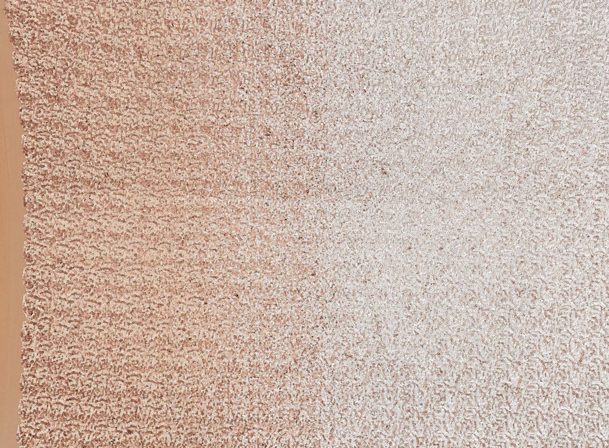 #color_BLUSH OMBRE