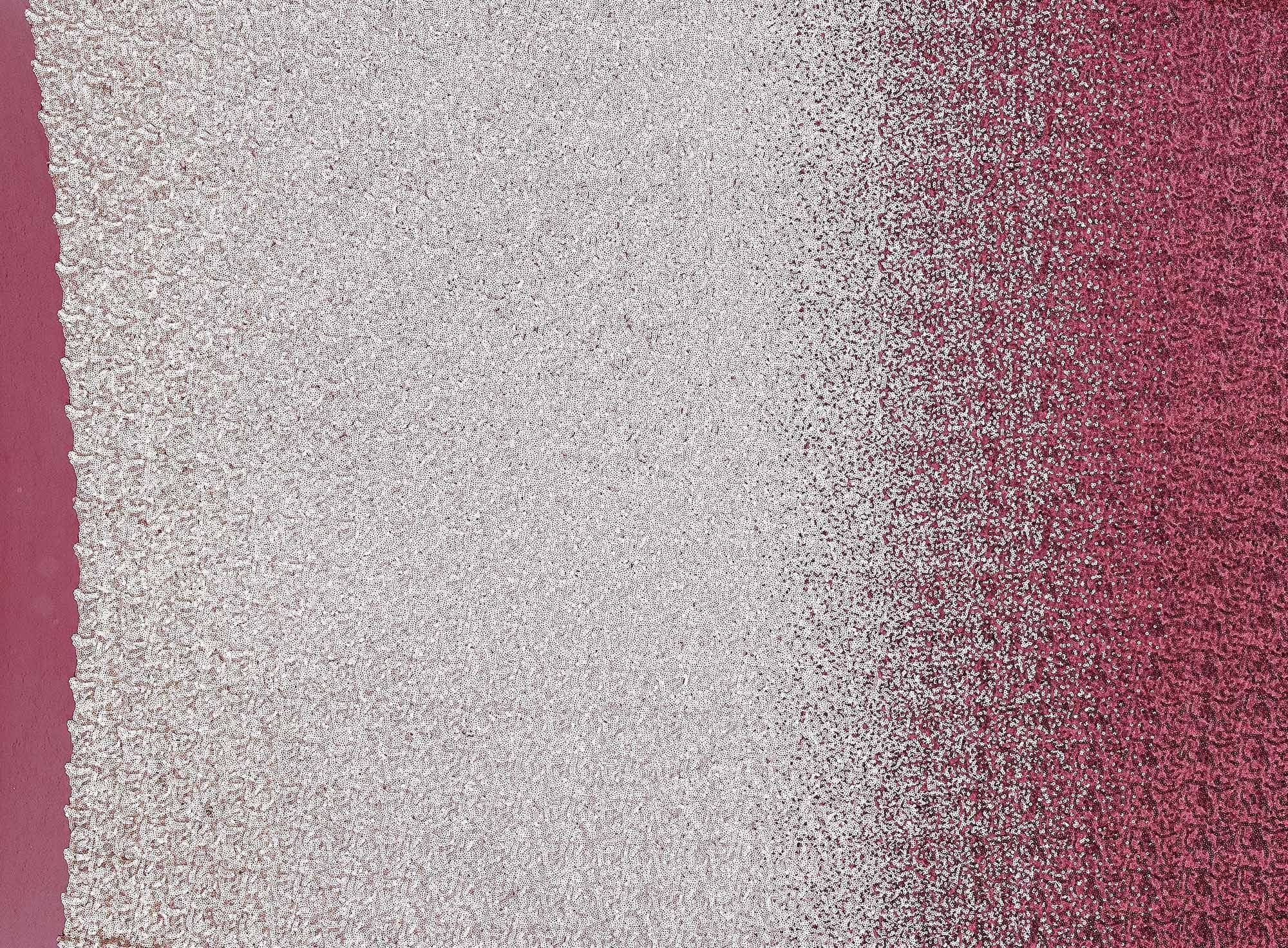 #color_WINE OMBRE