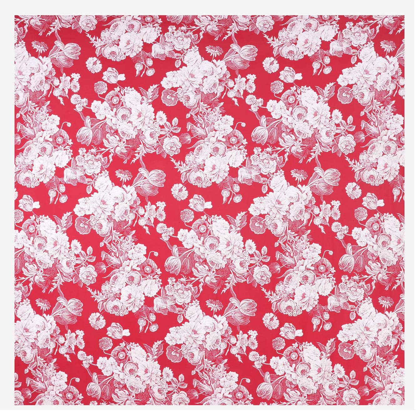 #color_BRILLIANT CHERRY