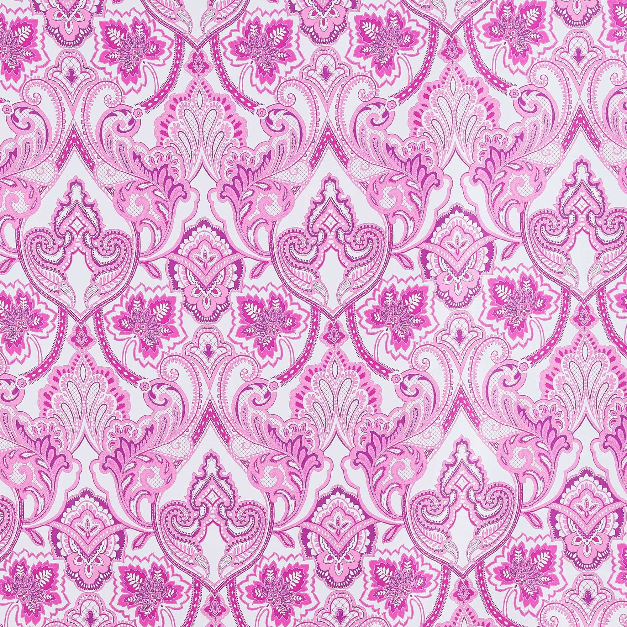 #color_IVORY/FUCHSIA