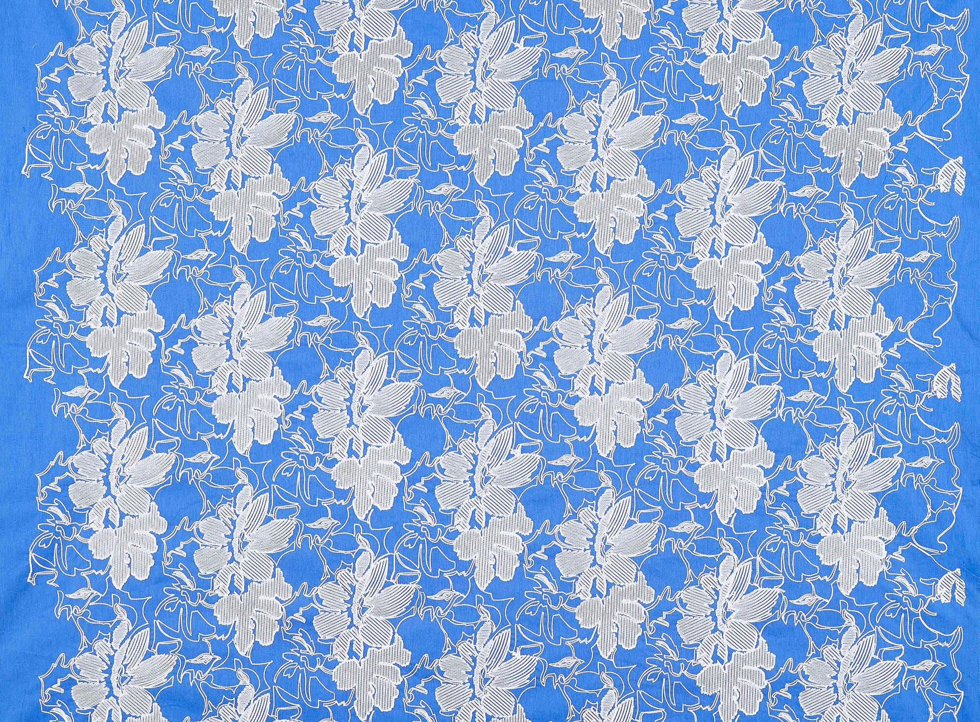#color_PERI BLISS/WHITE
