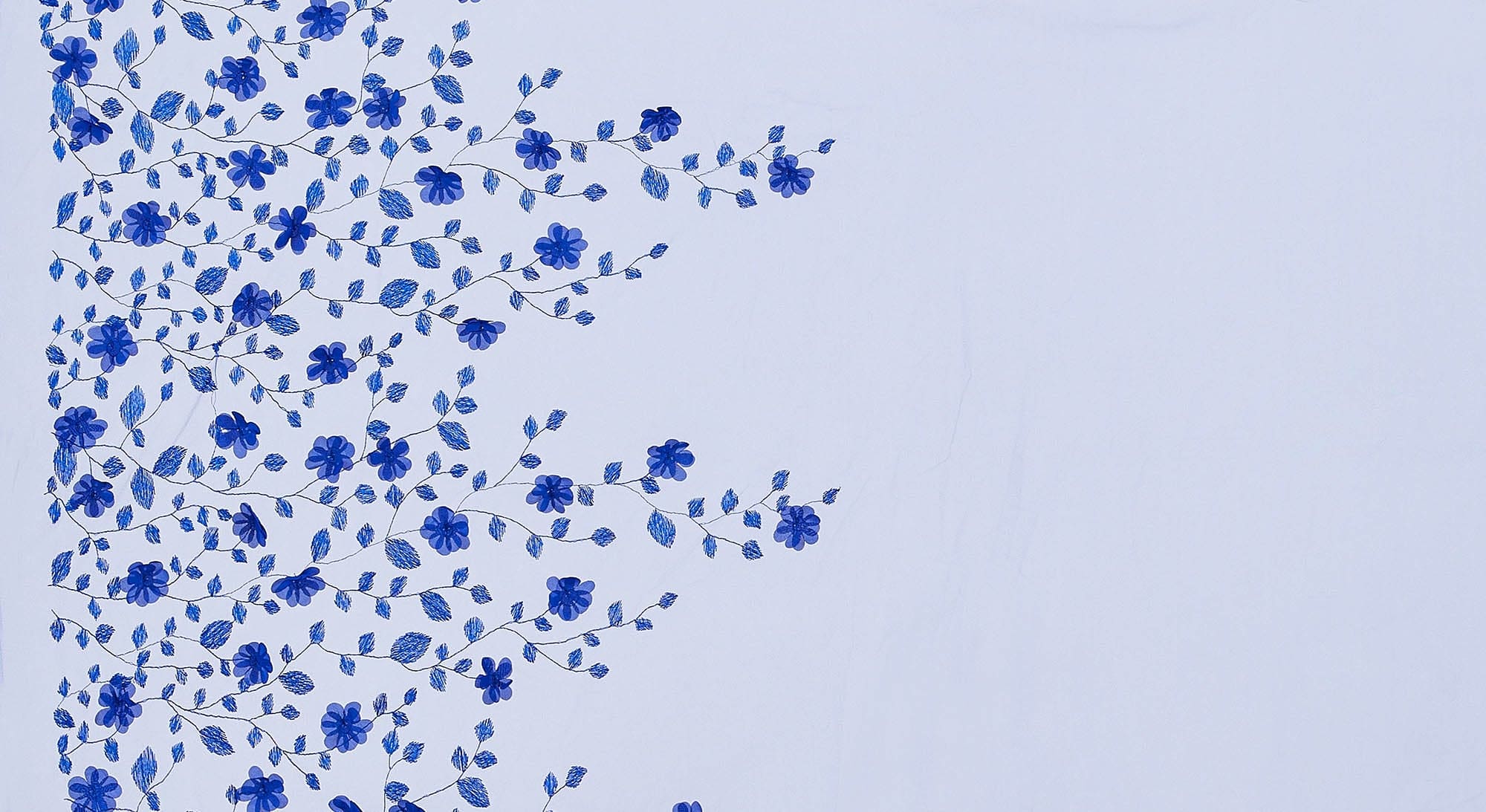 #color_COBALT DELIGHT