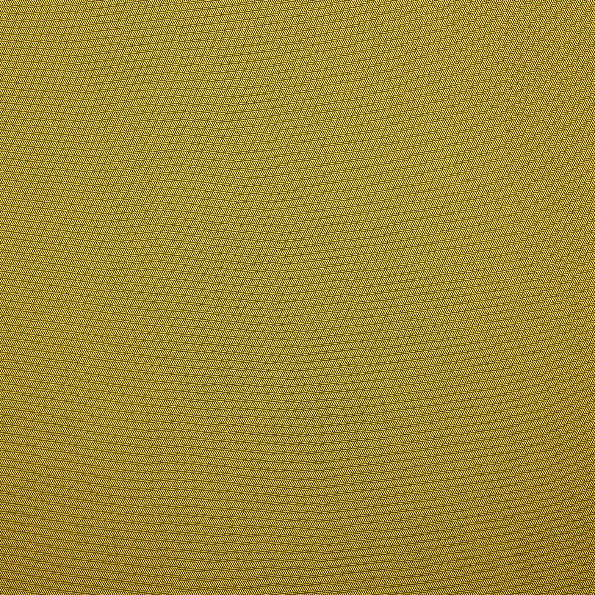 #color_SUNFLOWER PETAL