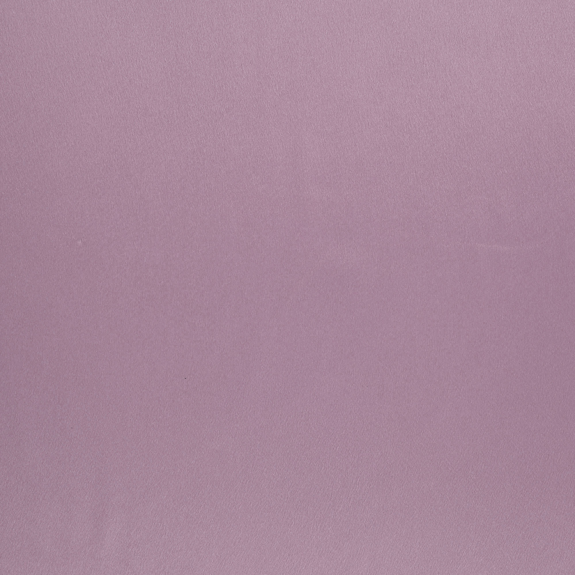 #color_LILAC WING