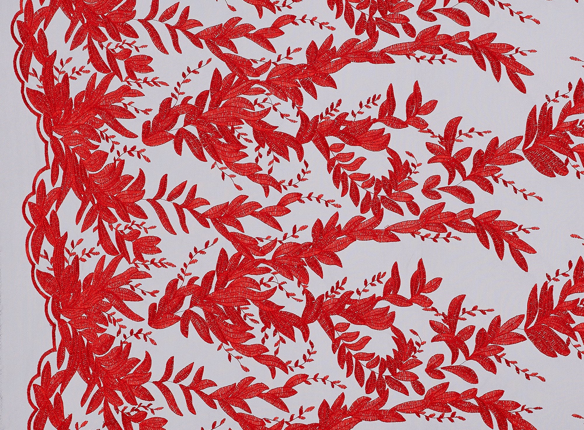 #color_BLACK/RED