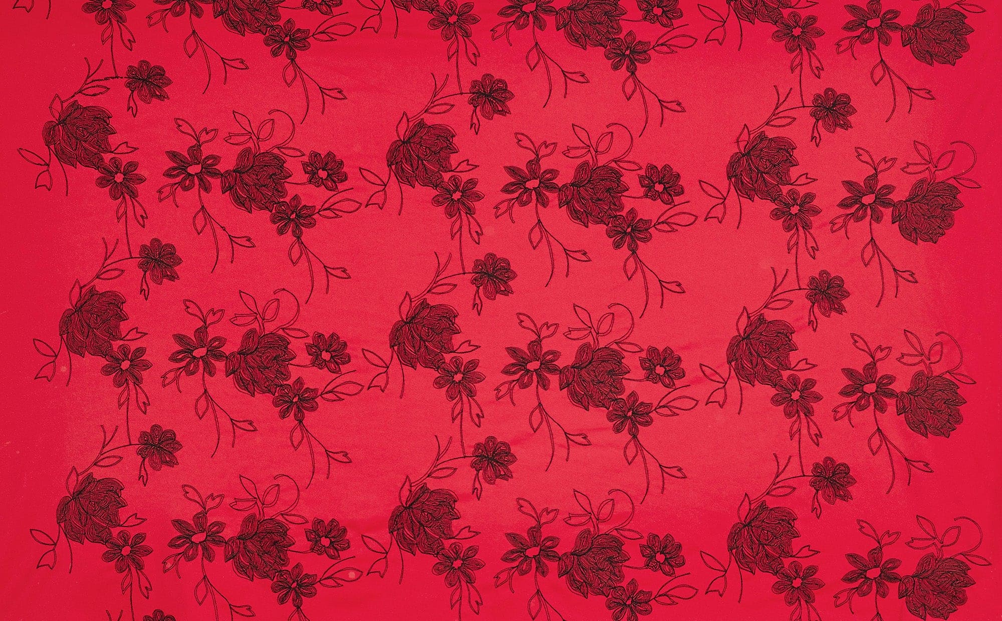 #color_RED/BLACK