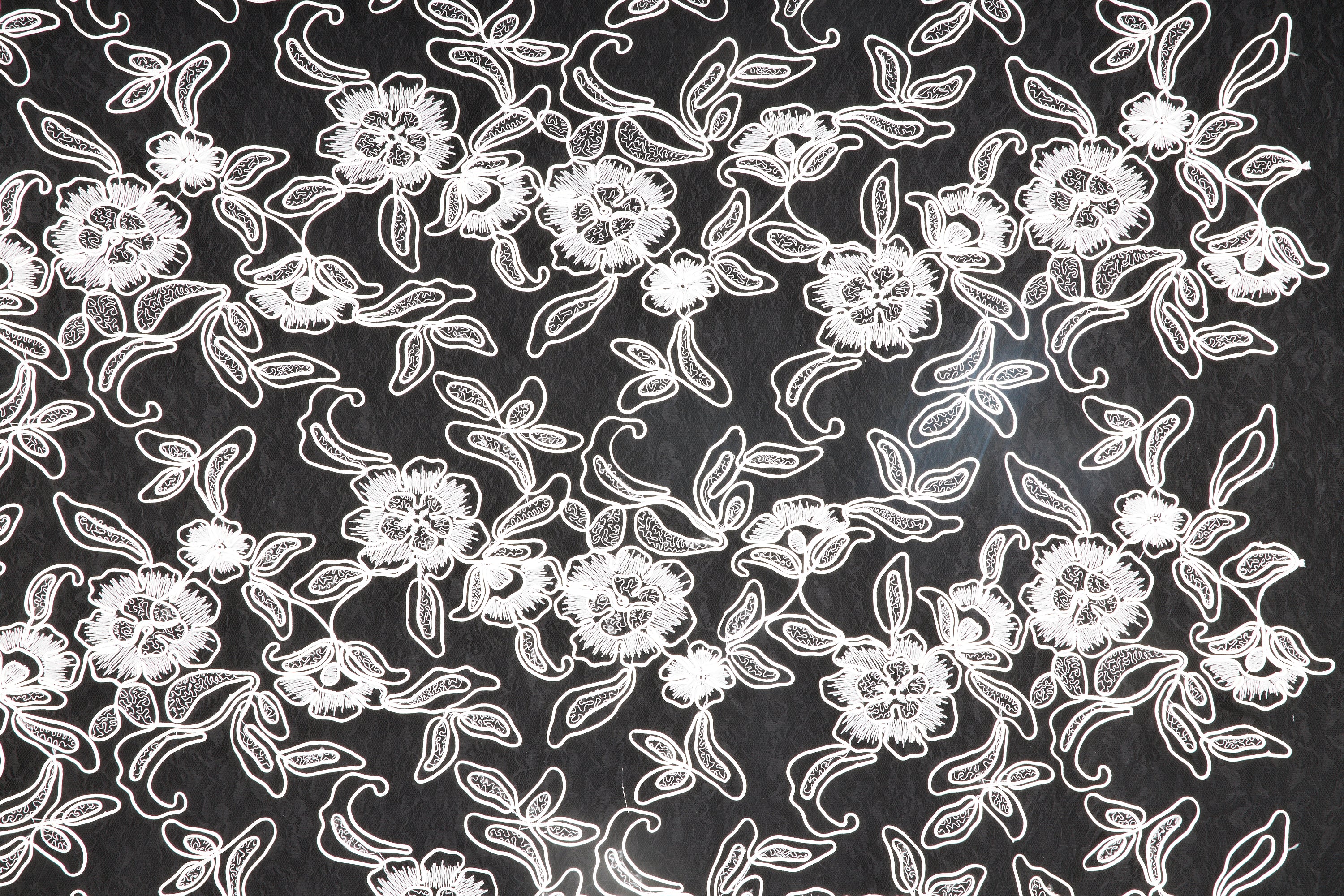 #color_WHITE/BLACK