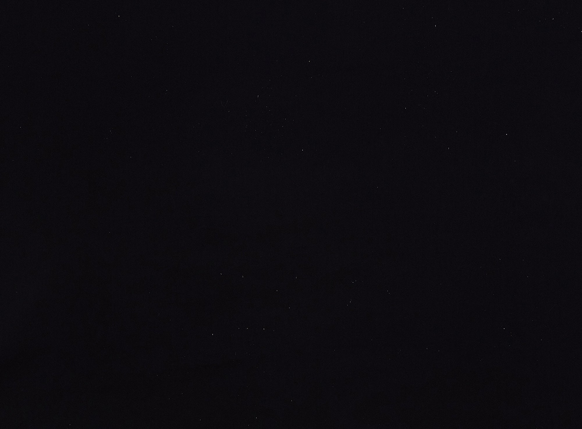 #color_BLACK DELIGHT