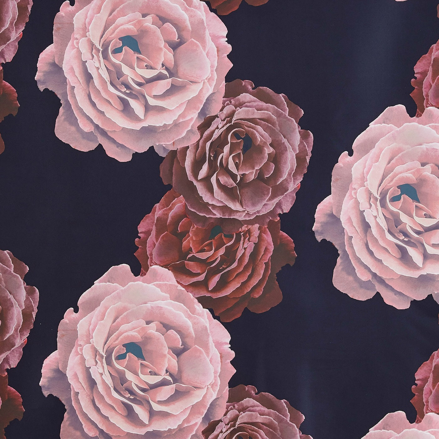 #color_BLACK/TEAROSE
