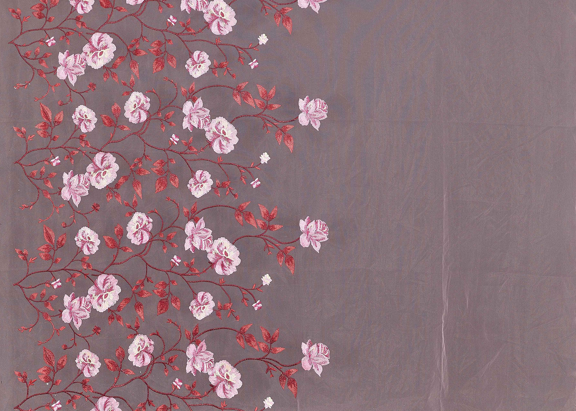 #color_ROSE/AZALEA