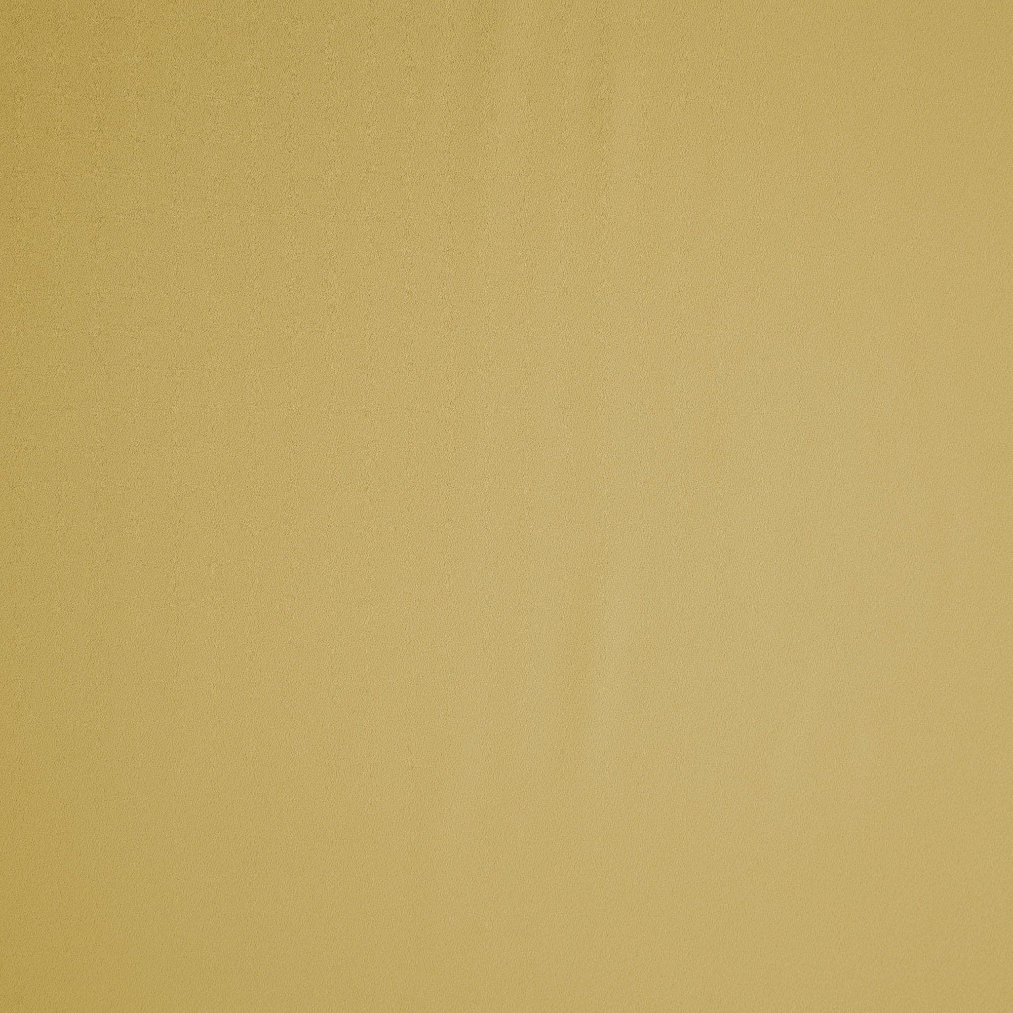 #color_LEMON WING