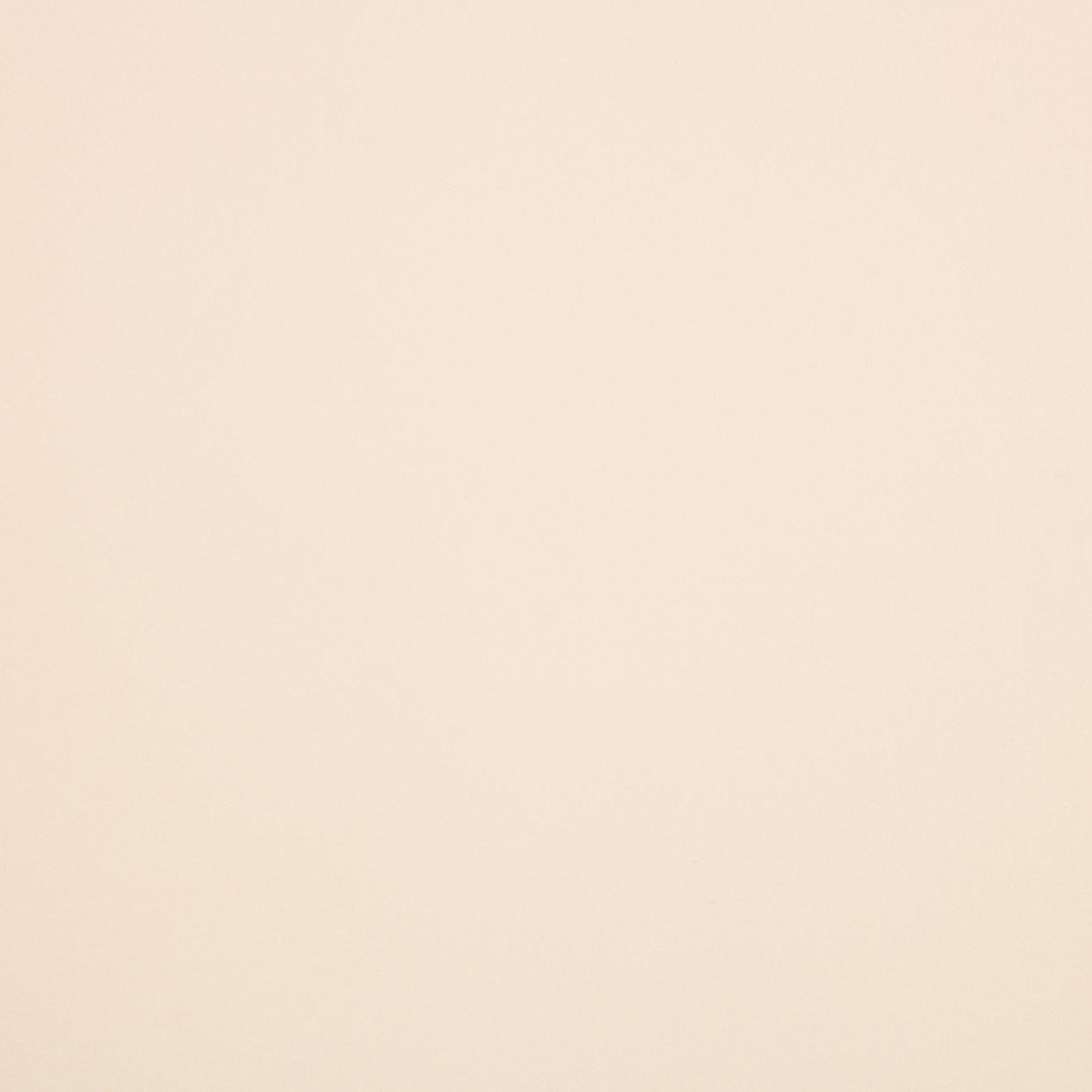 #color_SHELL ALLURE