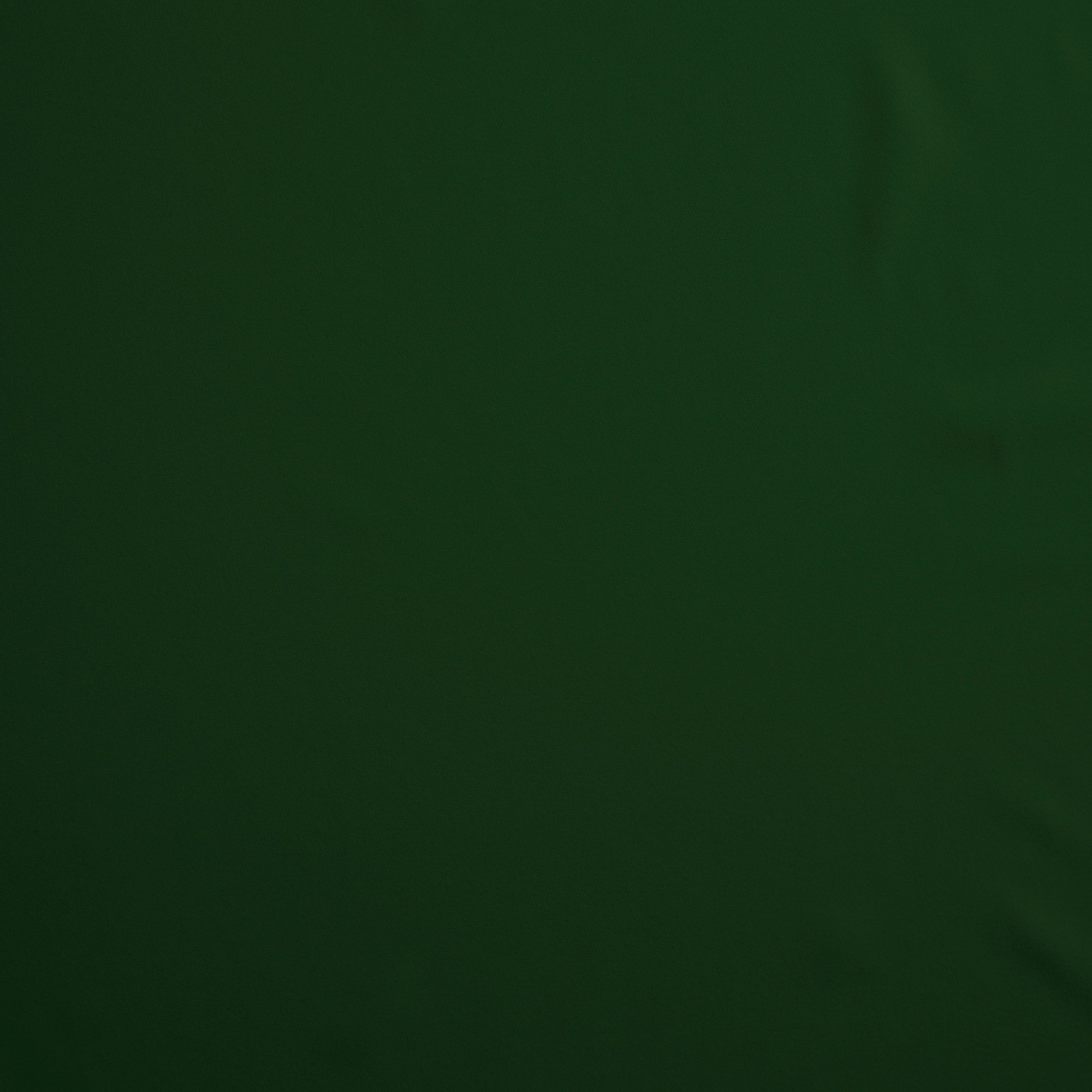 #color_BRILLIANT GREEN