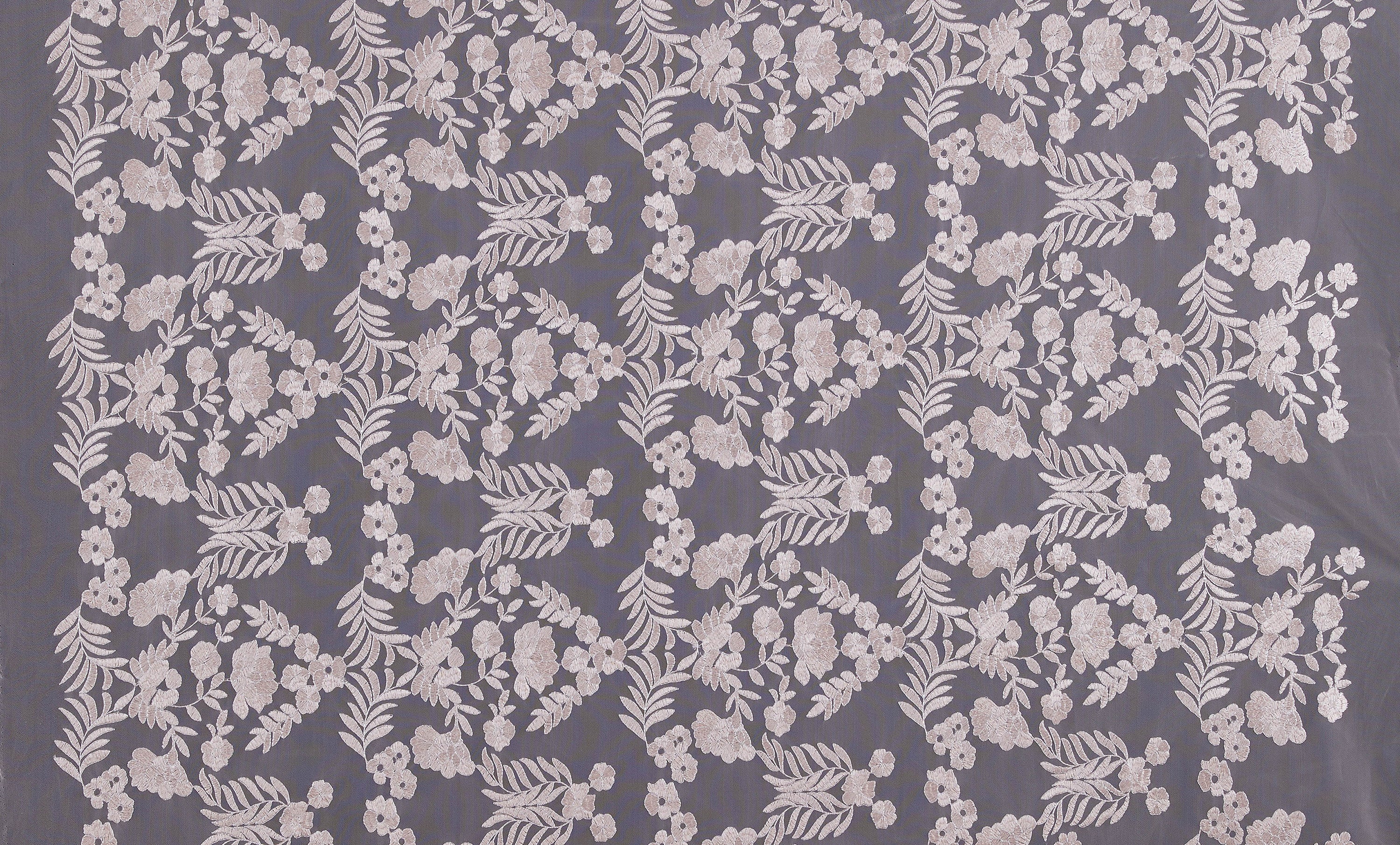 #color_CHAMPAGNE/SILVER