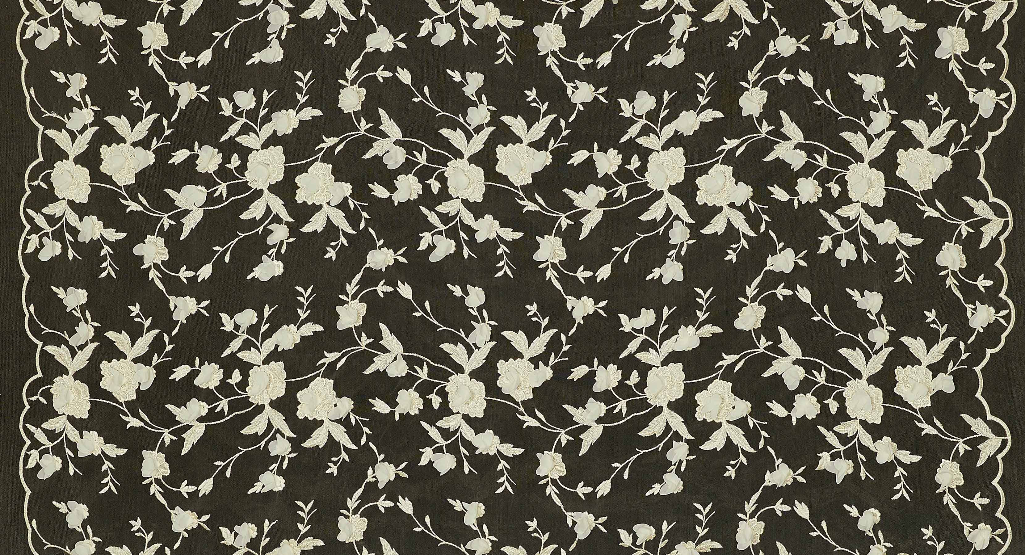 #color_SHELL ALLURE