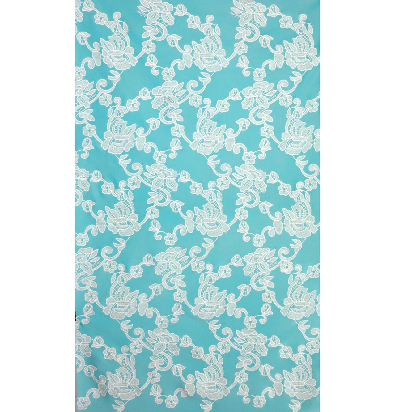 #color_AQUA WING