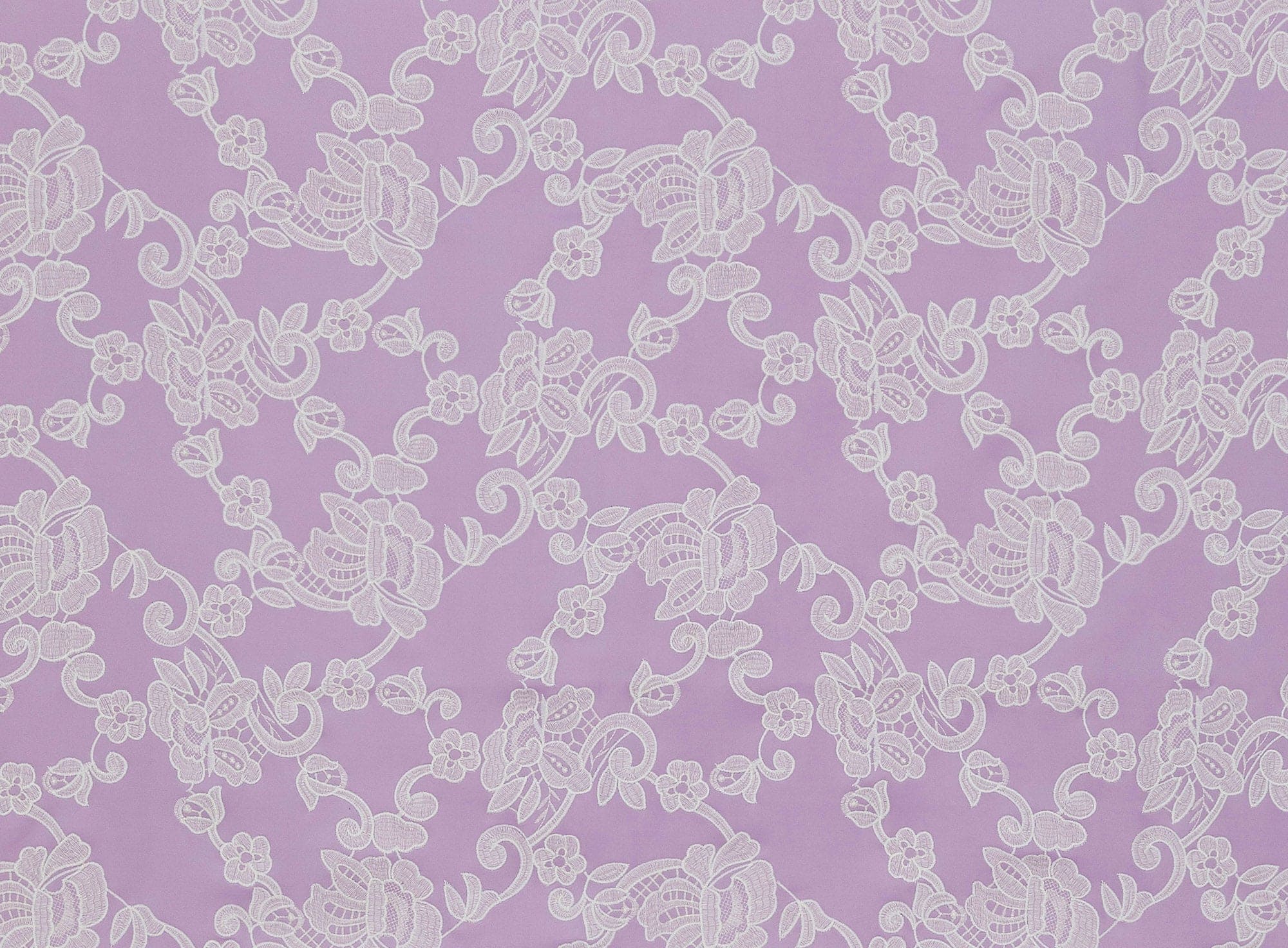 #color_LILAC WING