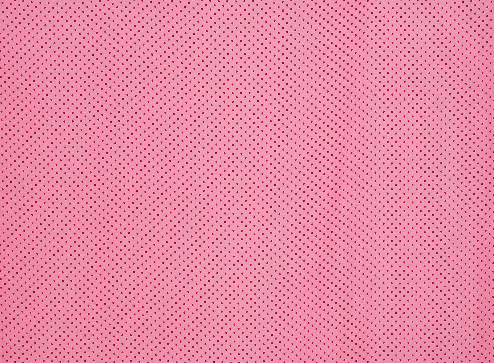#color_CK CERISE