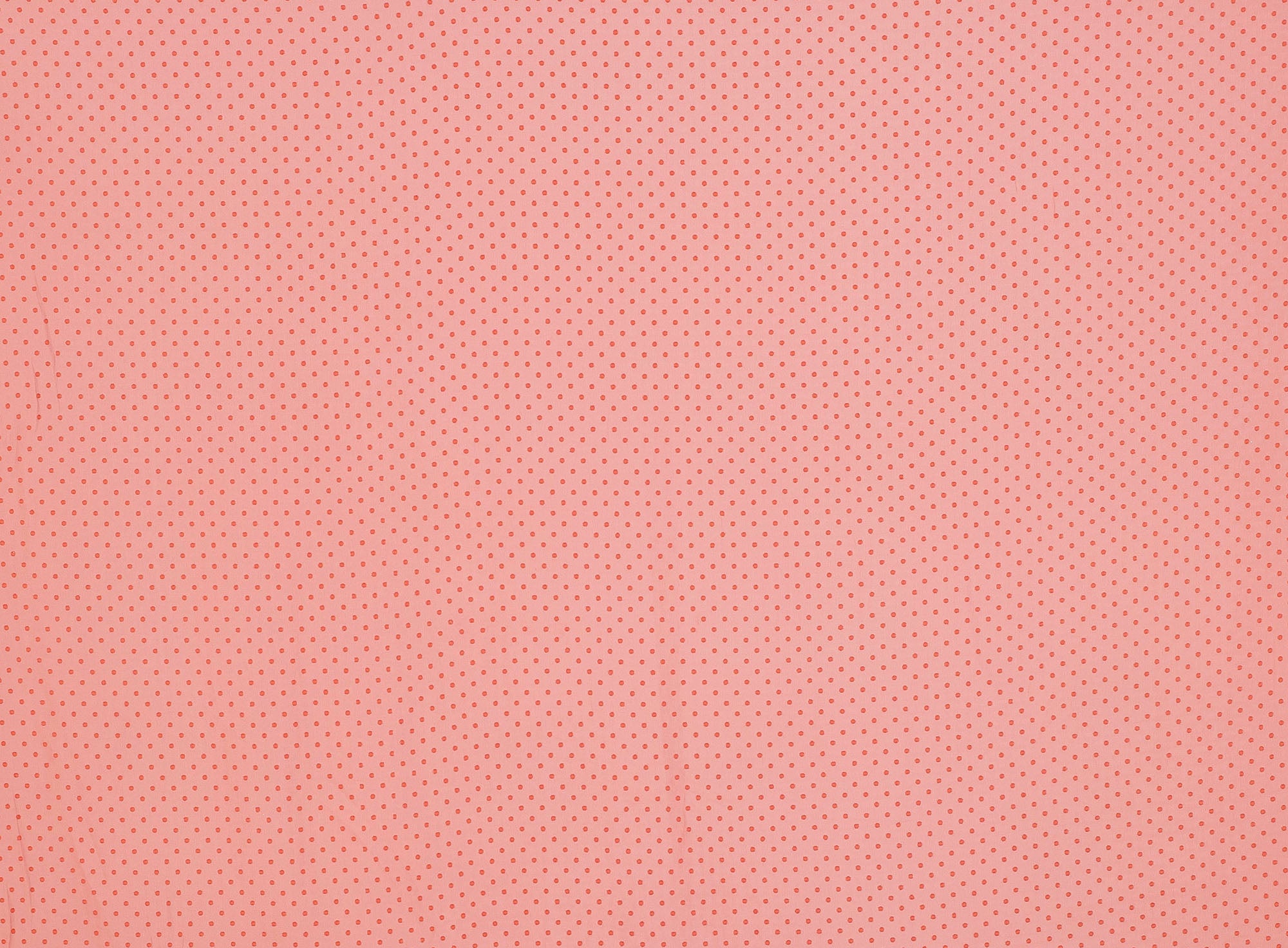 #color_CK EMBER