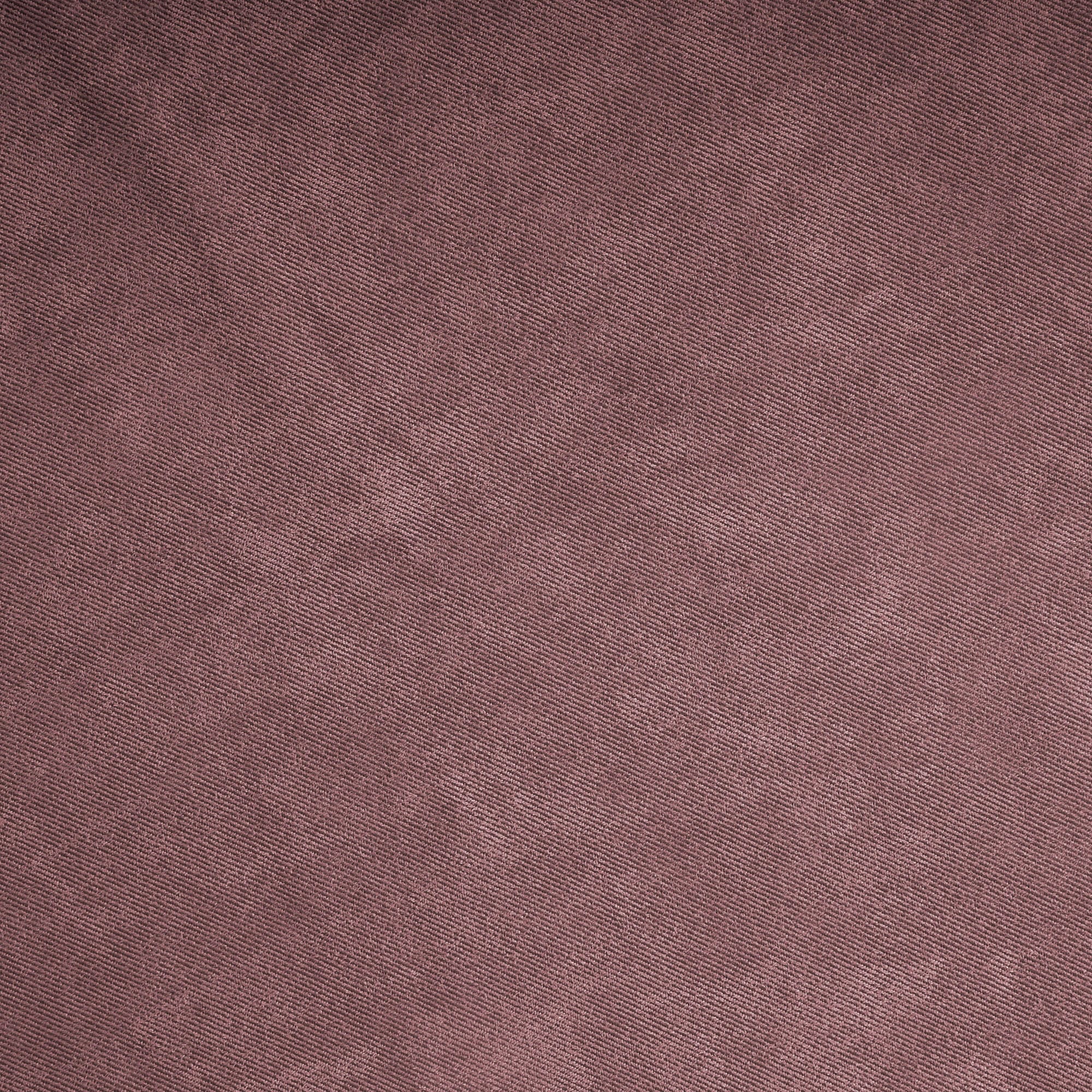 #color_HONEST ROSE