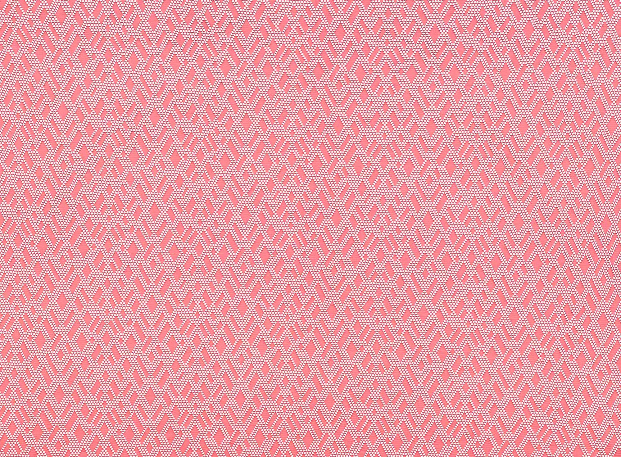 #color_838 CLYPSO CORL