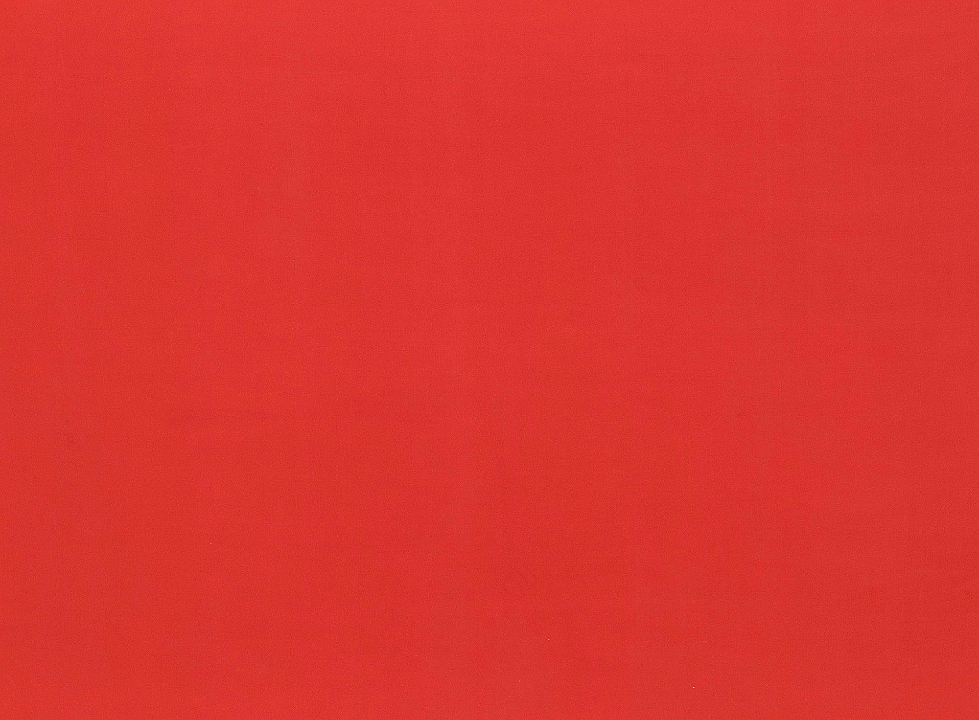 #color_NEON CORAL