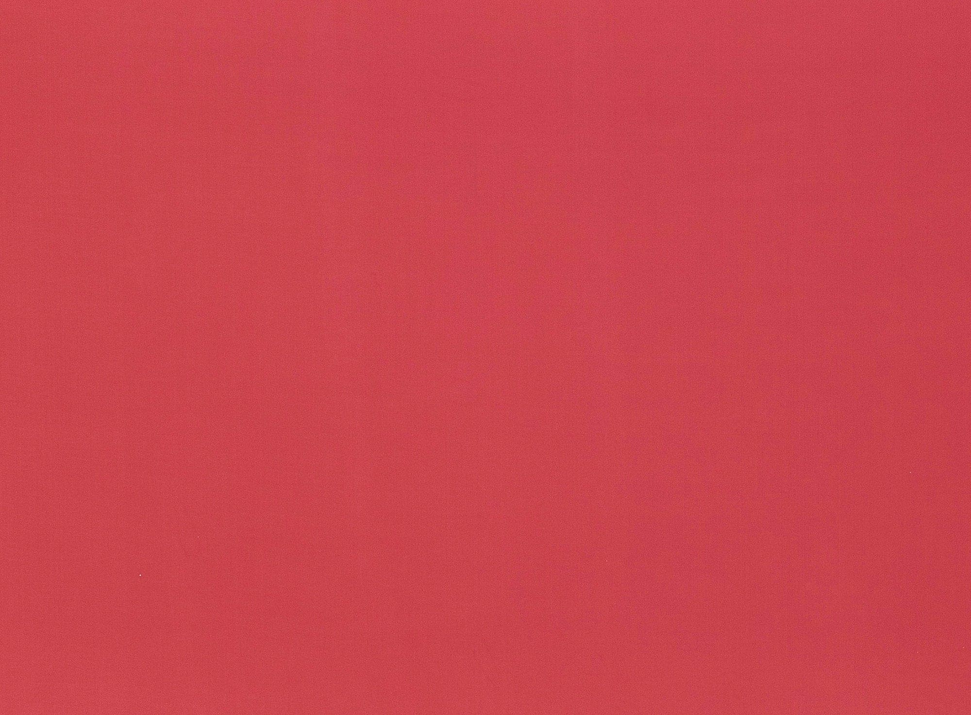 #color_NEON PINK