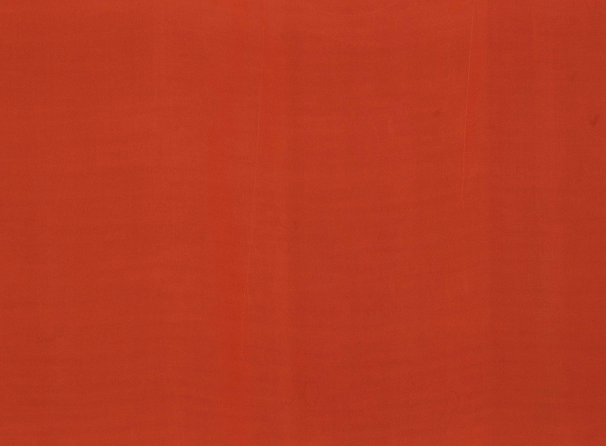 #color_NEON TANGERINE