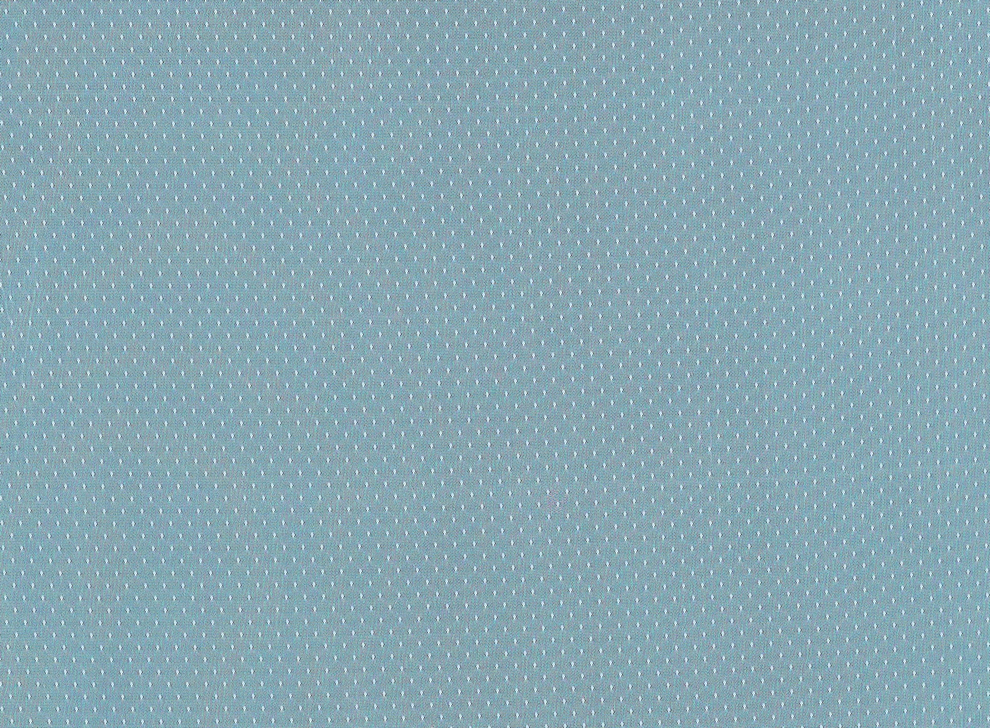 #color_FROSTY MINT