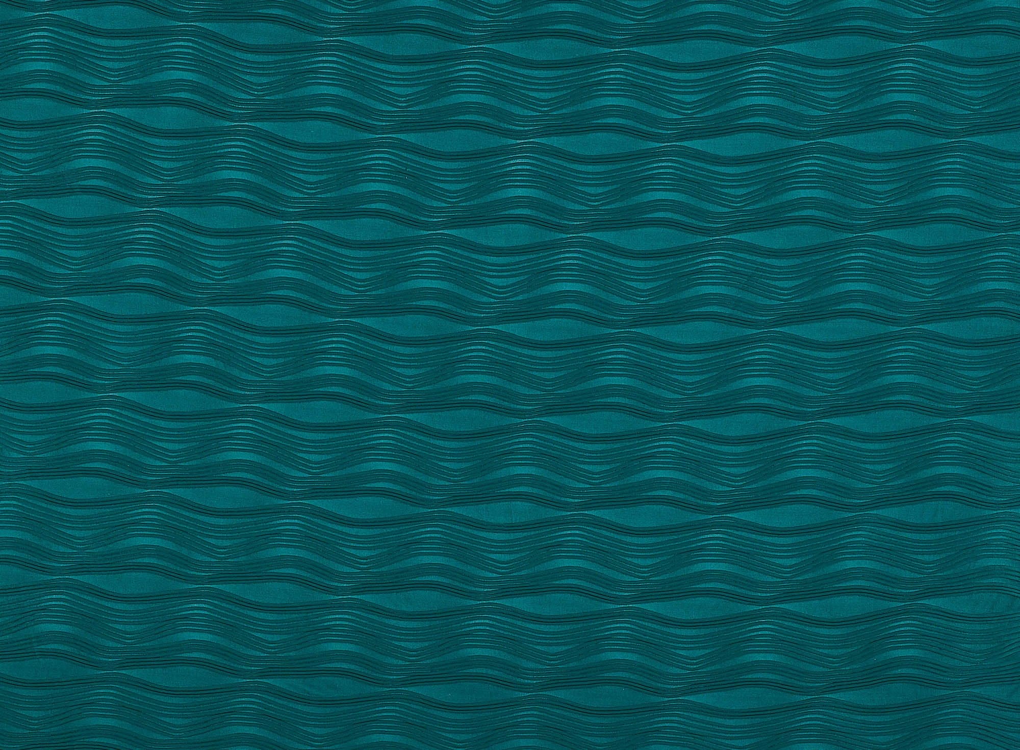 #color_779 DRAGONFLY