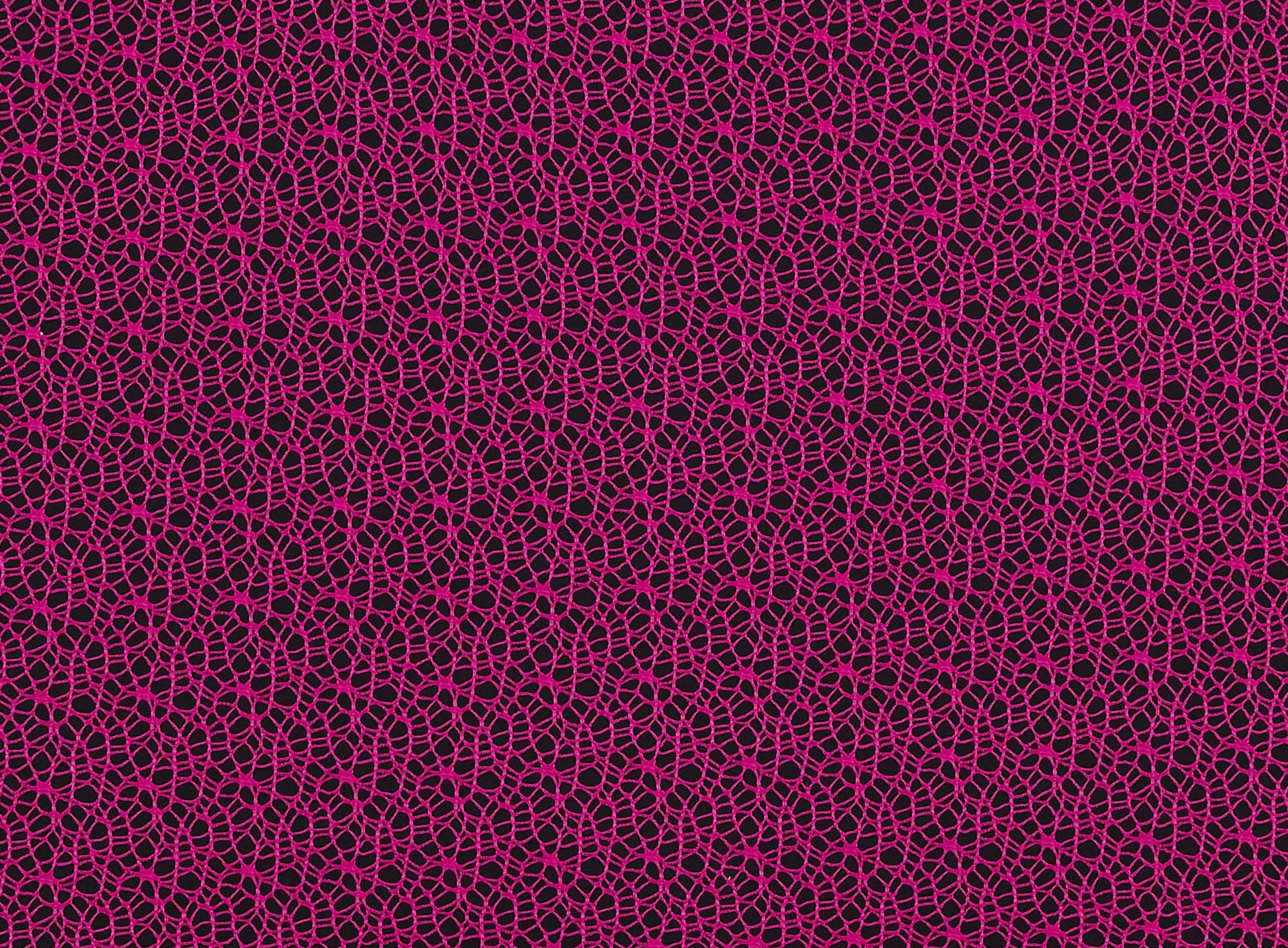 #color_383 E.FUSHIA