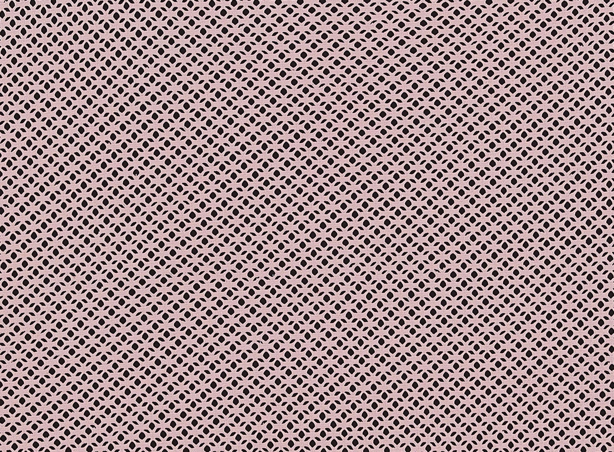 #color_313 BLUSH