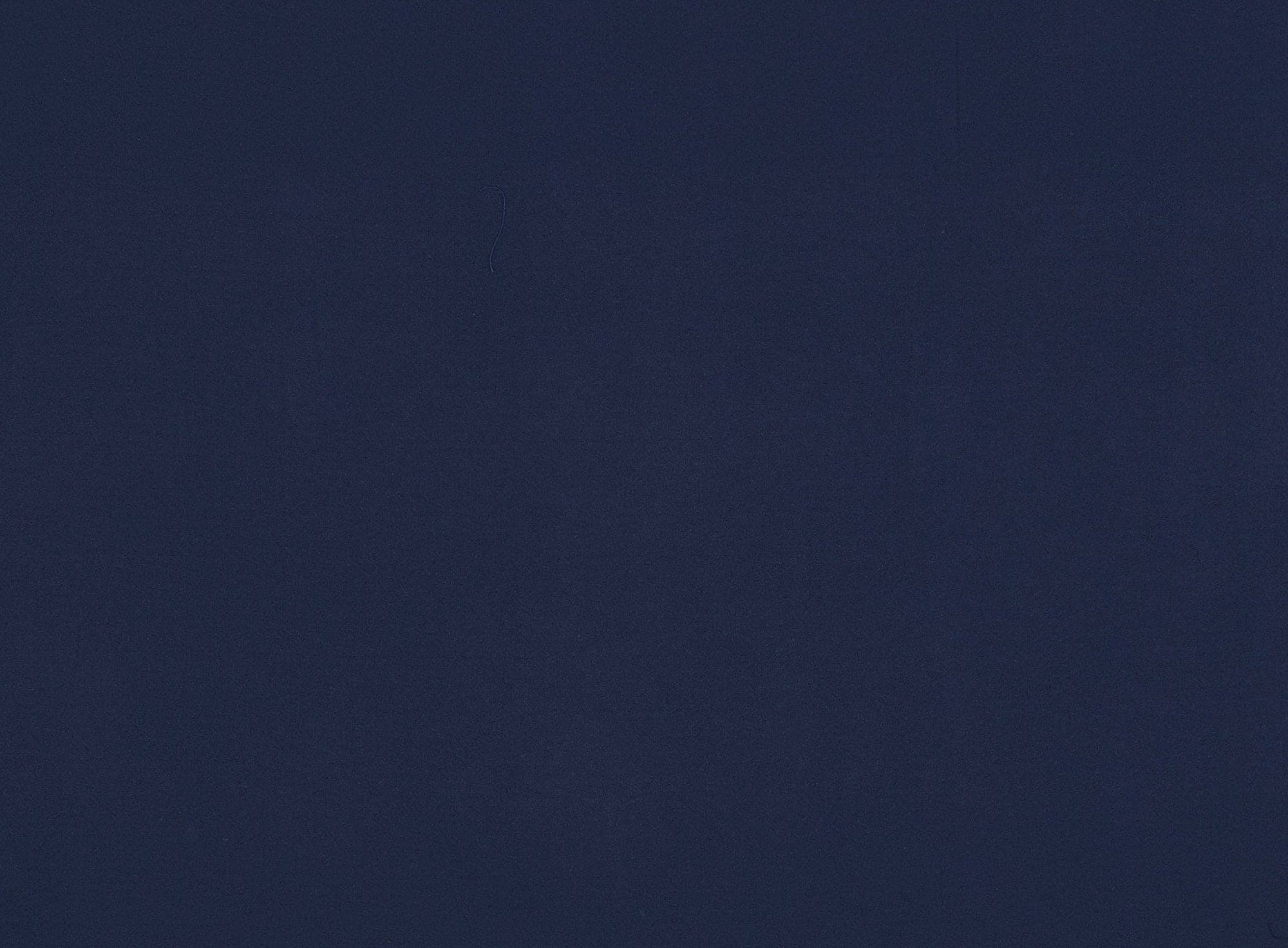 #color_449 NAVY