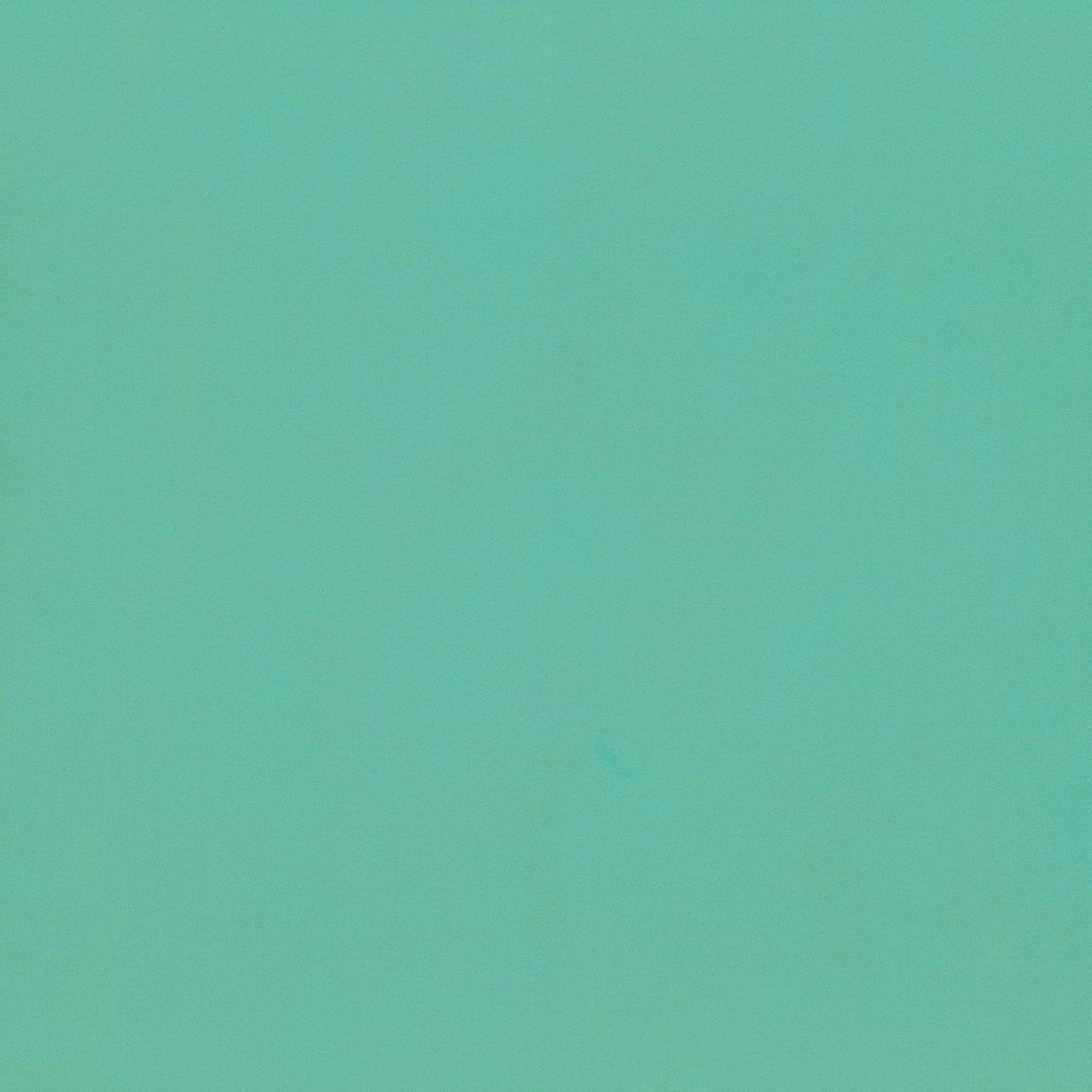 #color_741 PISTACHIO