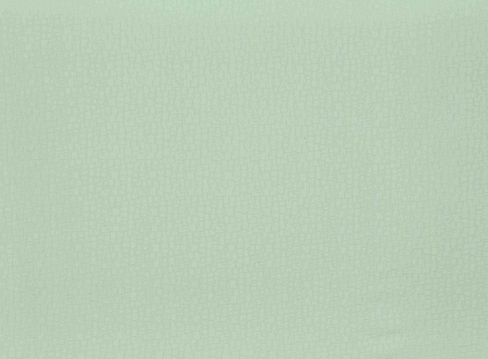 #color_771 PISTACHIO