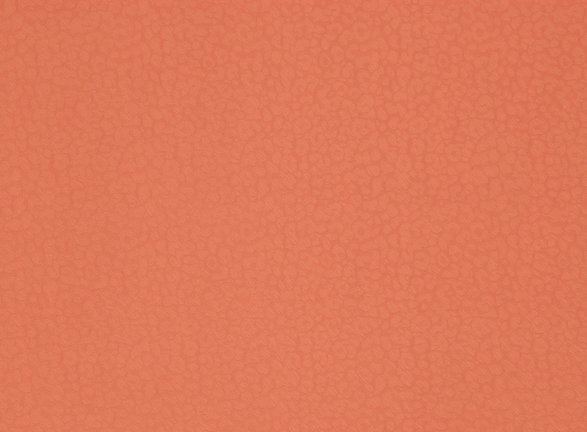 #color_881 CORAL