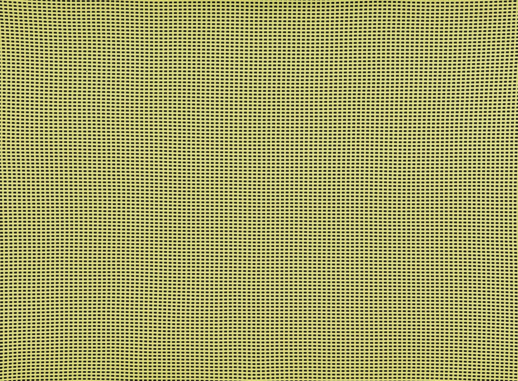 #color_779 E.LIME/BLK