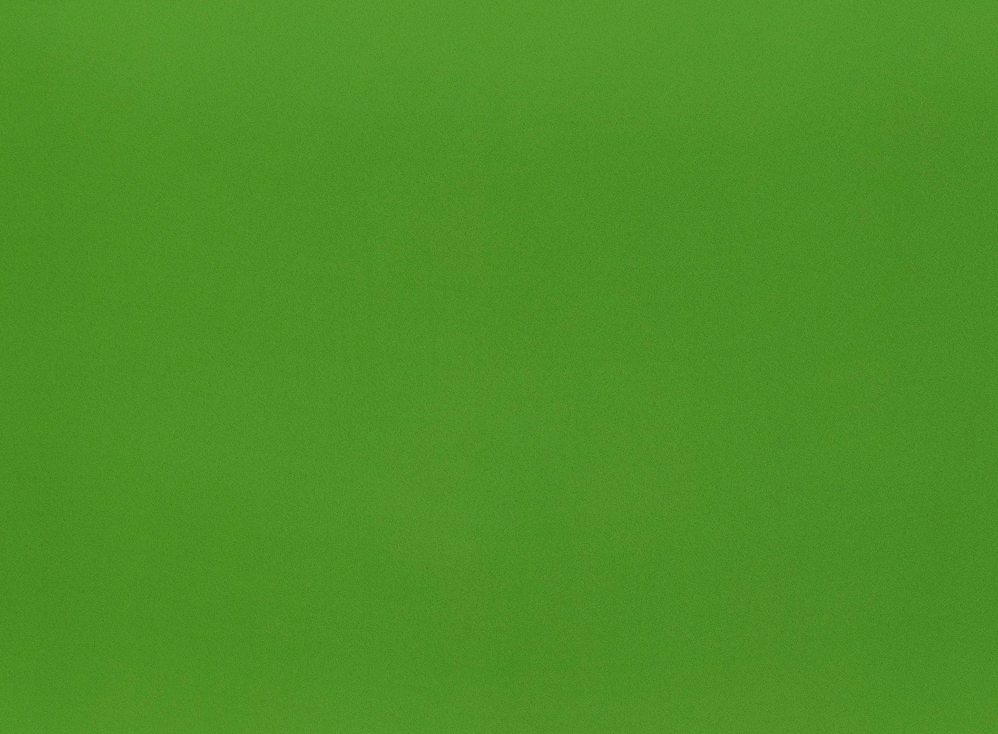 #color_GIGGLE LIME
