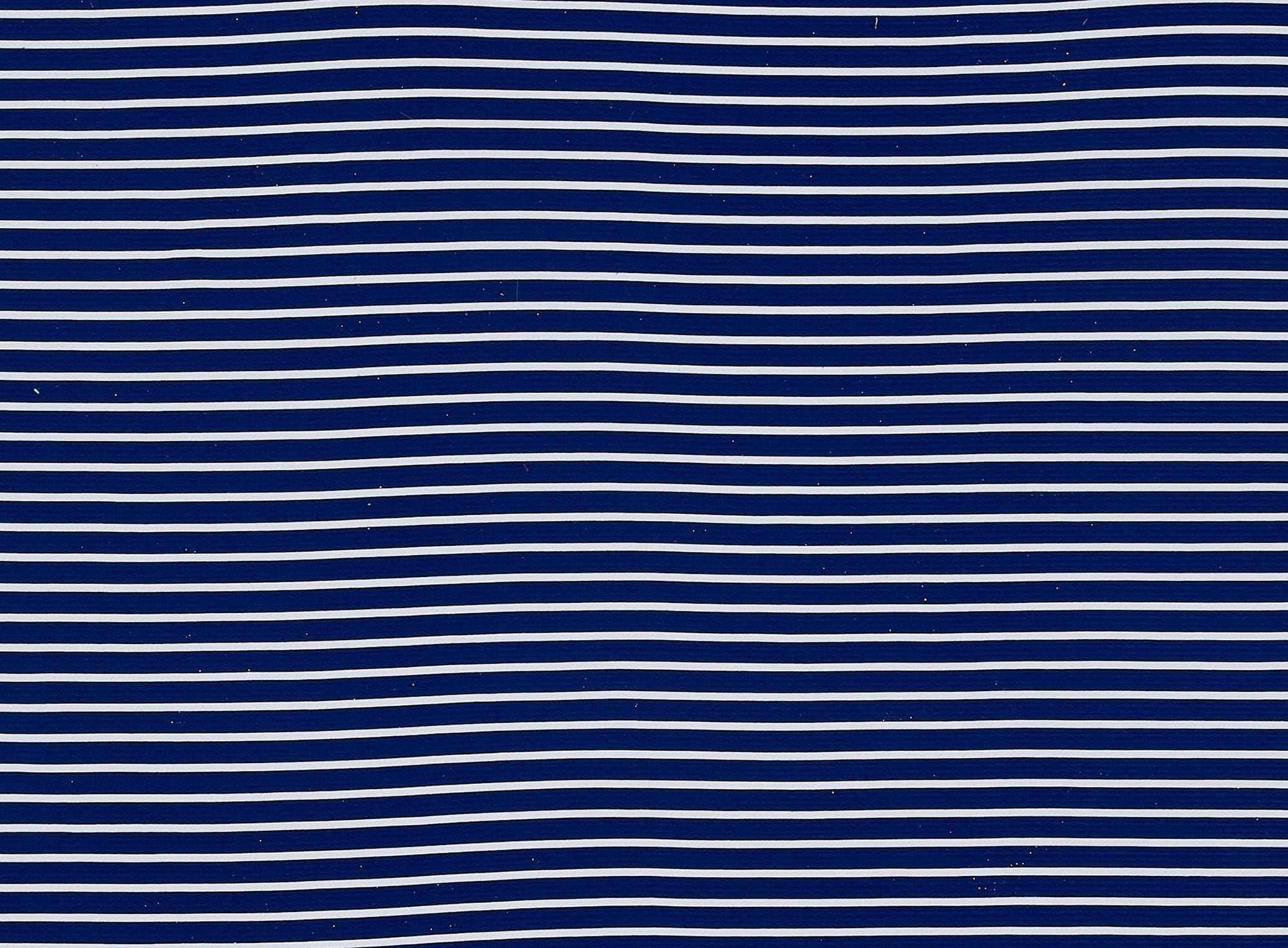 #color_419 NAVY/IVORY