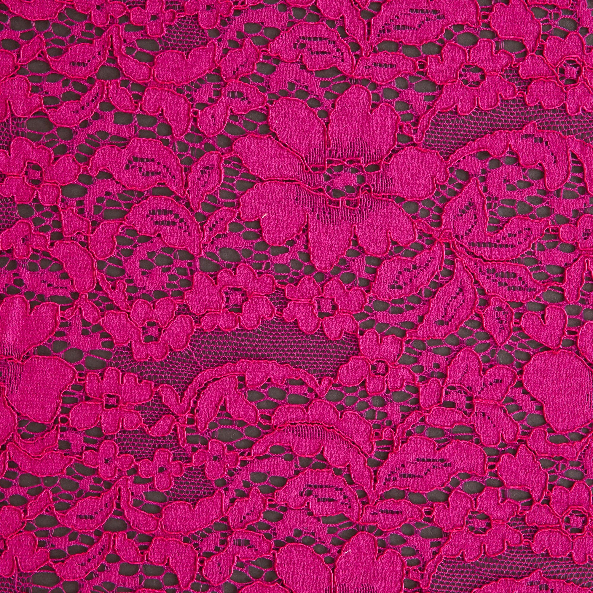 #color_AUTUMN FUCHSIA