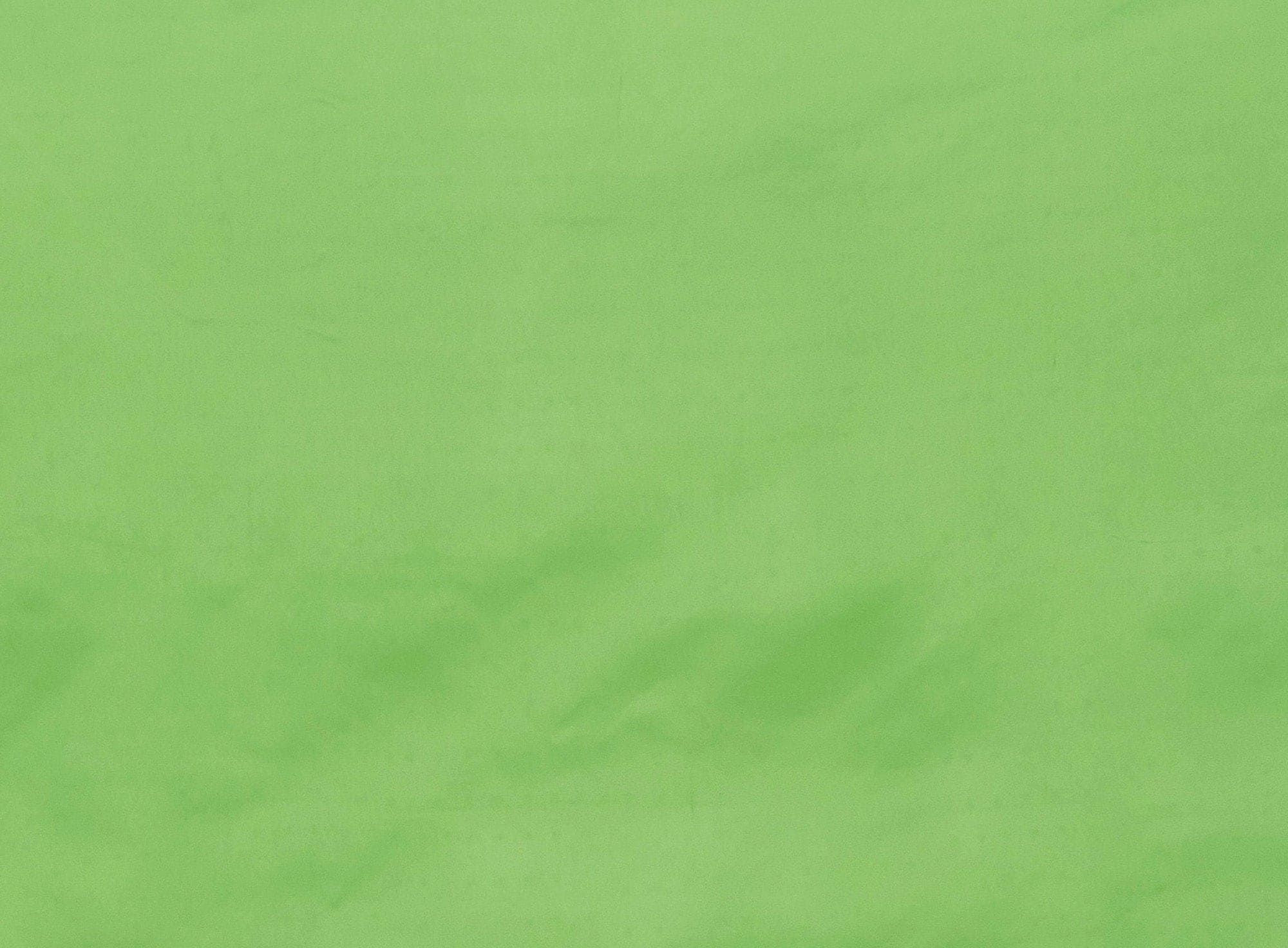 #color_LIME SQUEEZE