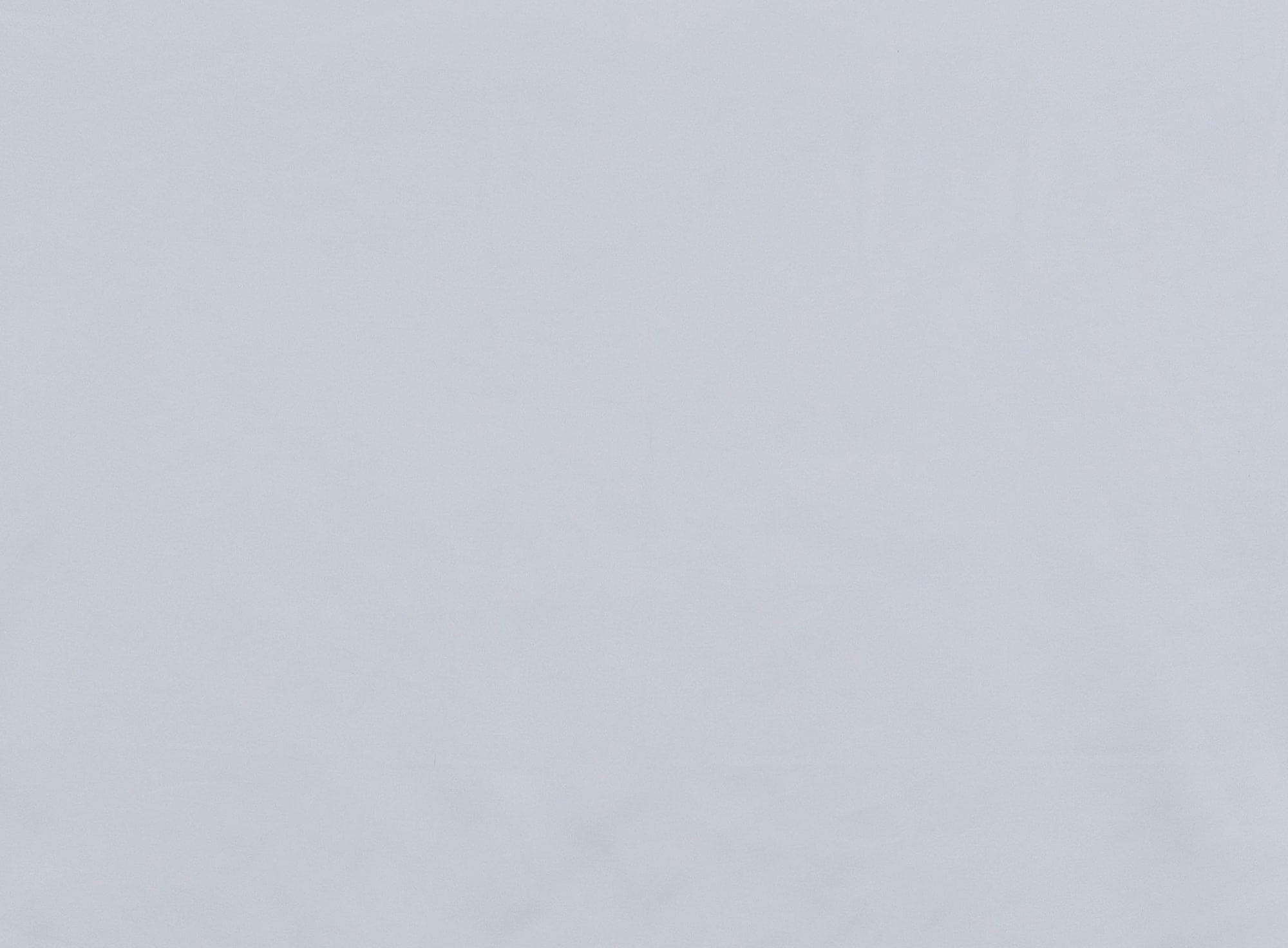 #color_WHITE