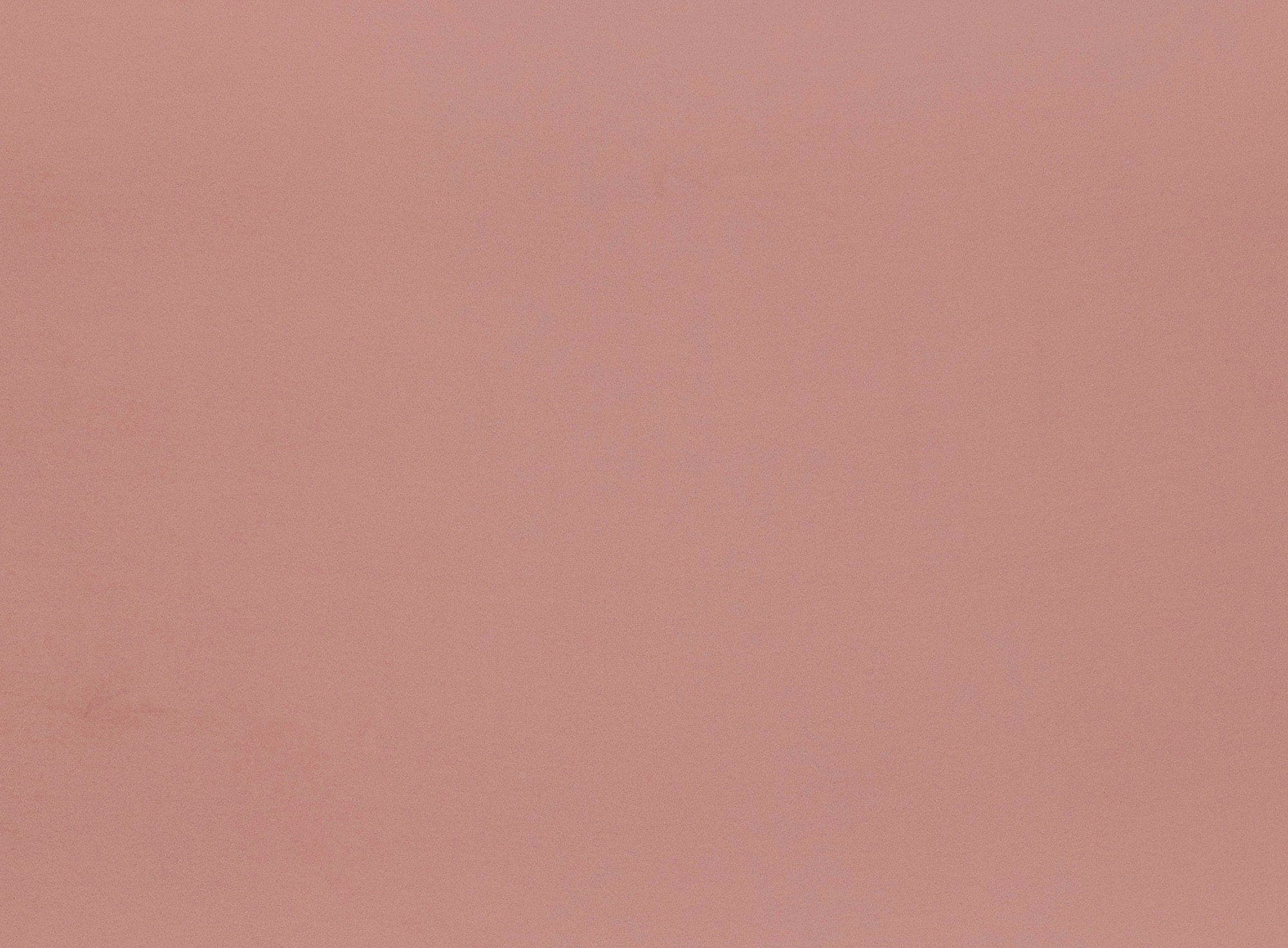 #color_311 BLUSH BLOOM