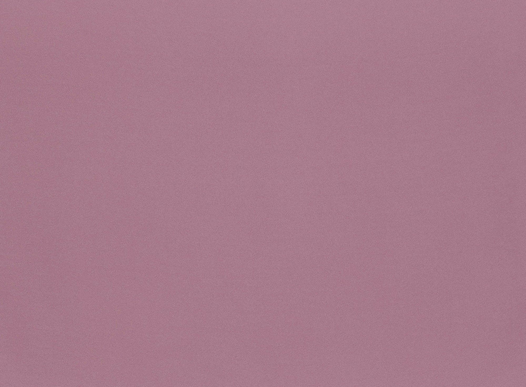 #color_818 LILAC HAZE
