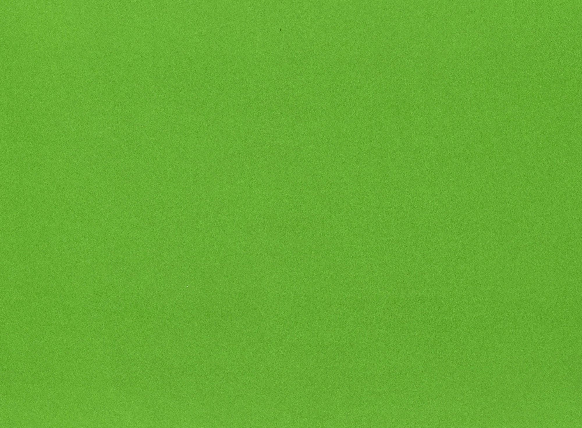 #color_HOT LIME