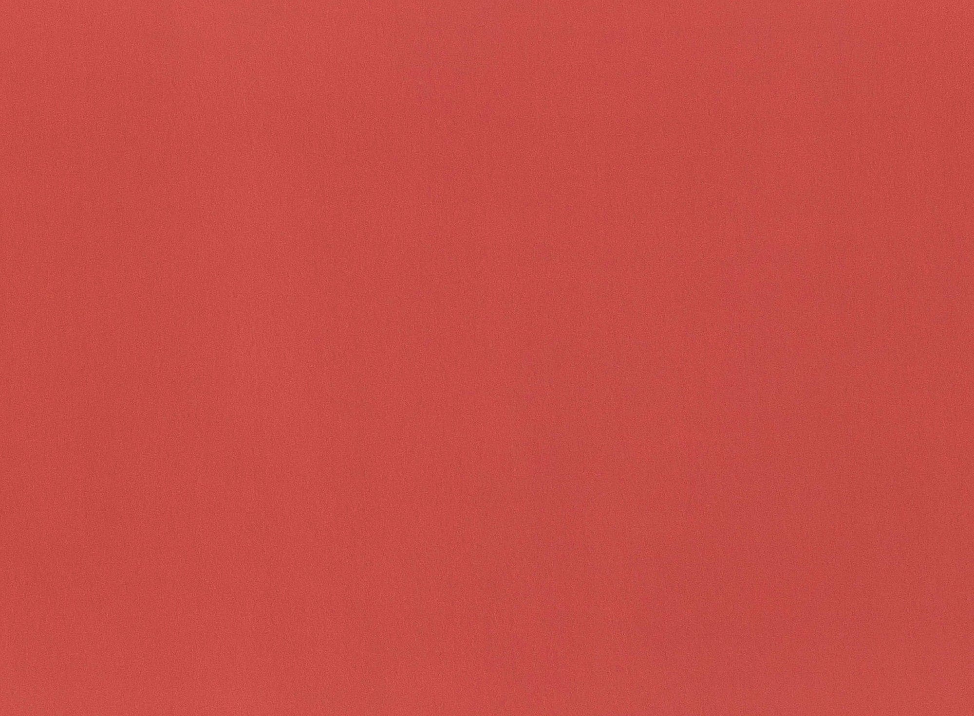 #color_NEON PEACH