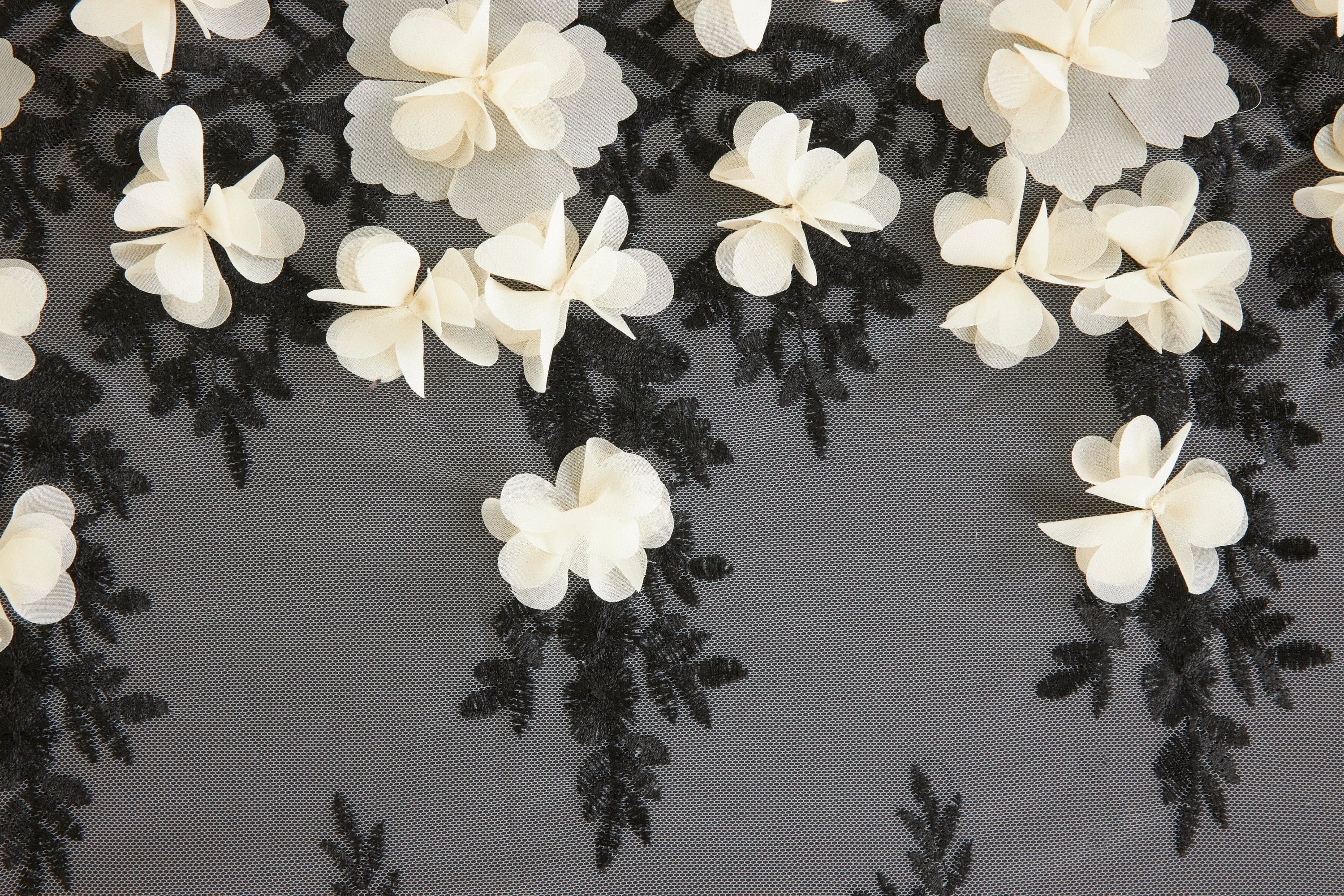 #color_IVORY/BLACK