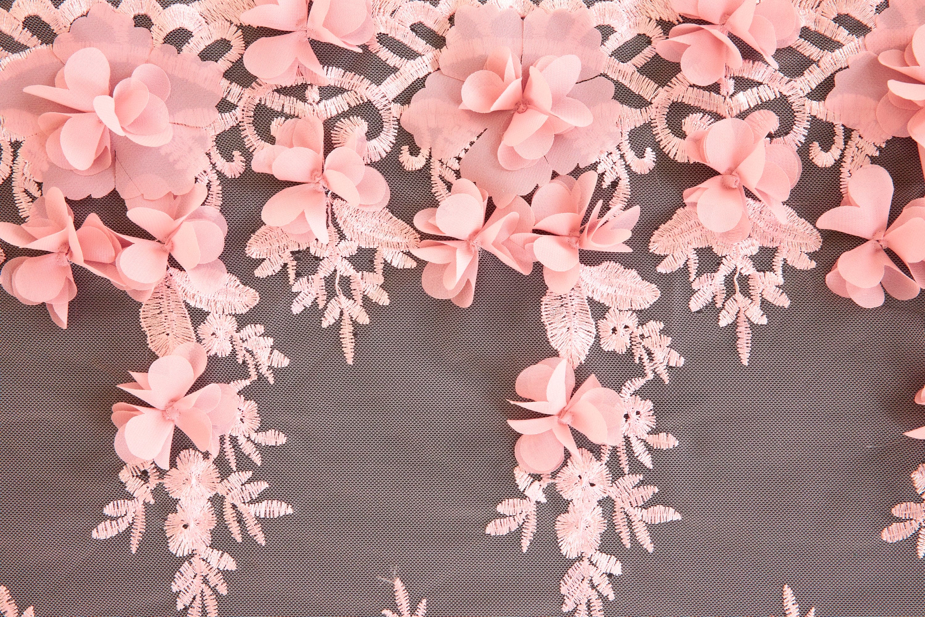#color_BLUSH/BLOSSOM