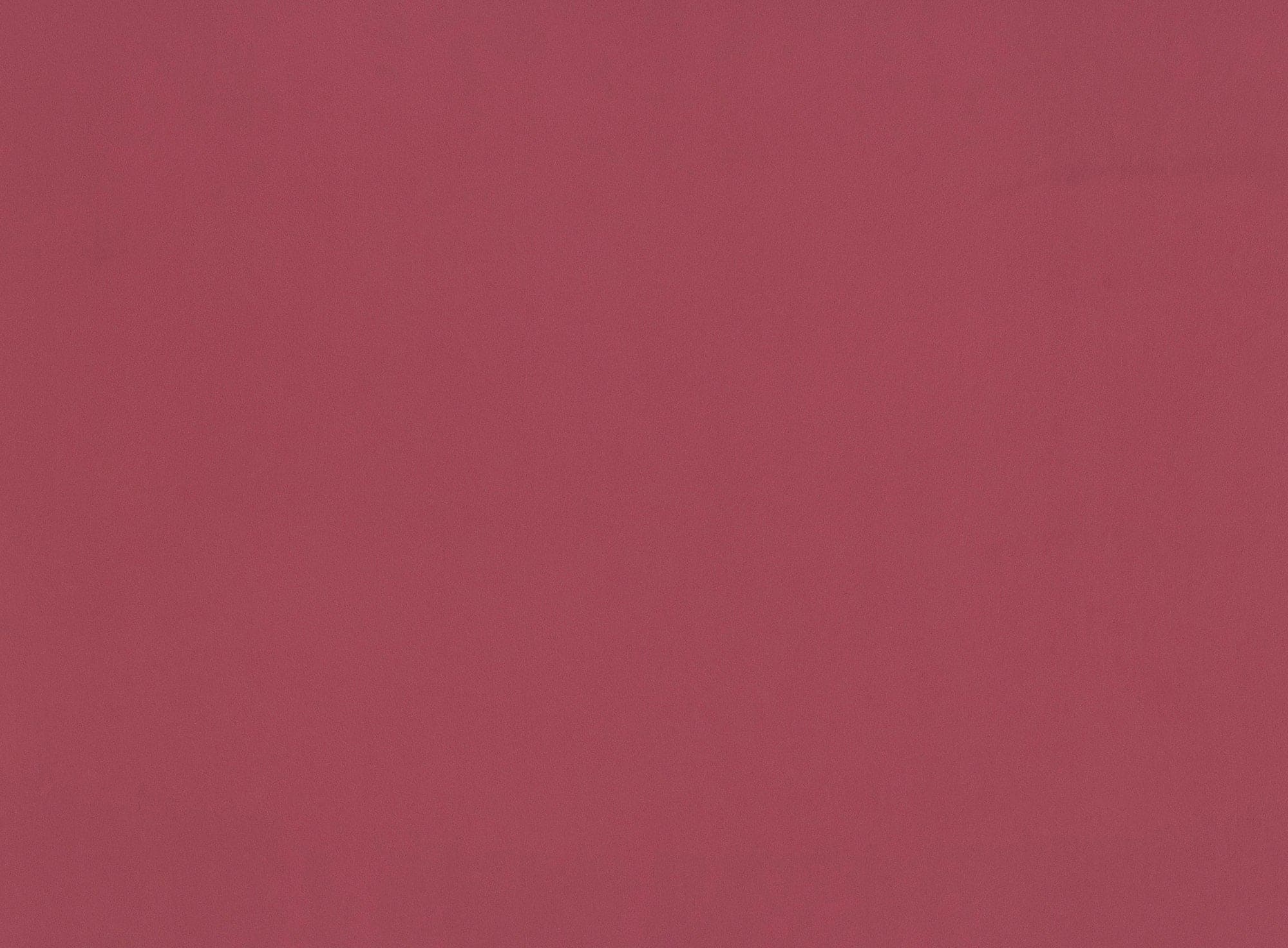 #color_CORAL PUNCH