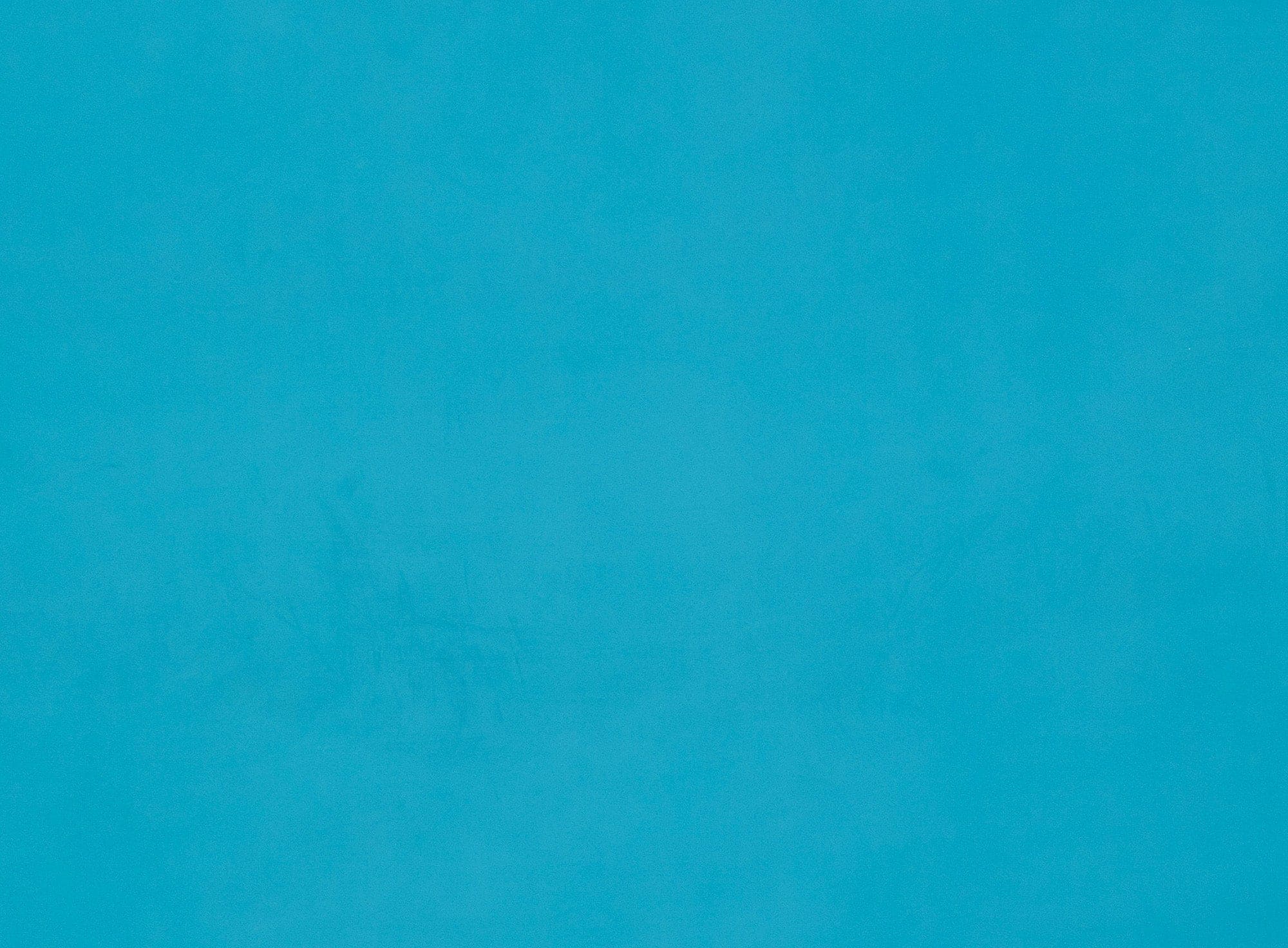 #color_TURQUOISE PETAL